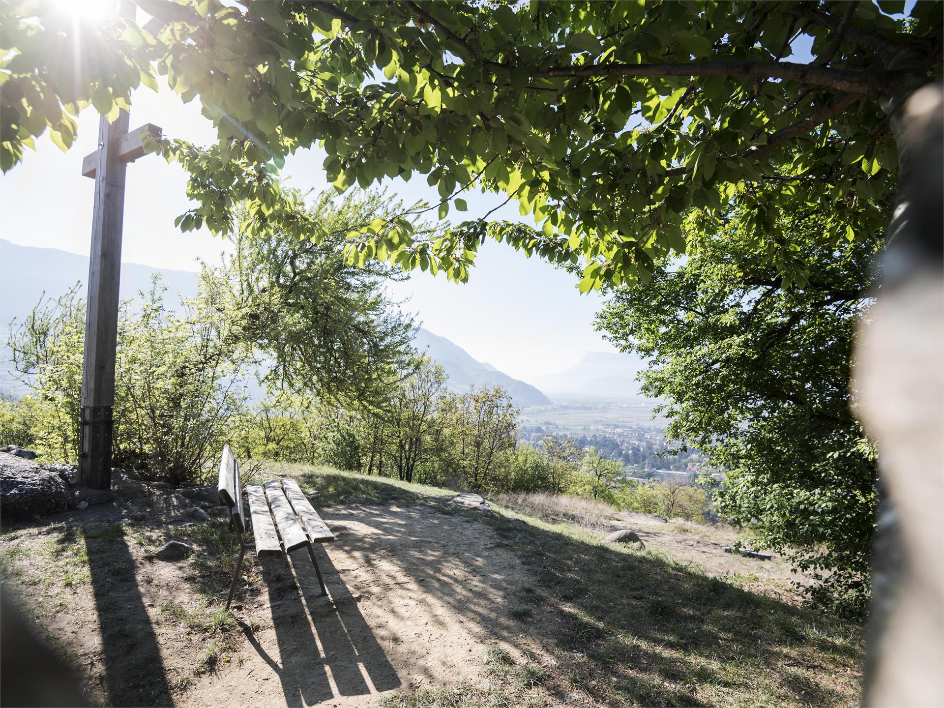 Hike along the panoramic trail Tirol/Tirolo 1 suedtirol.info