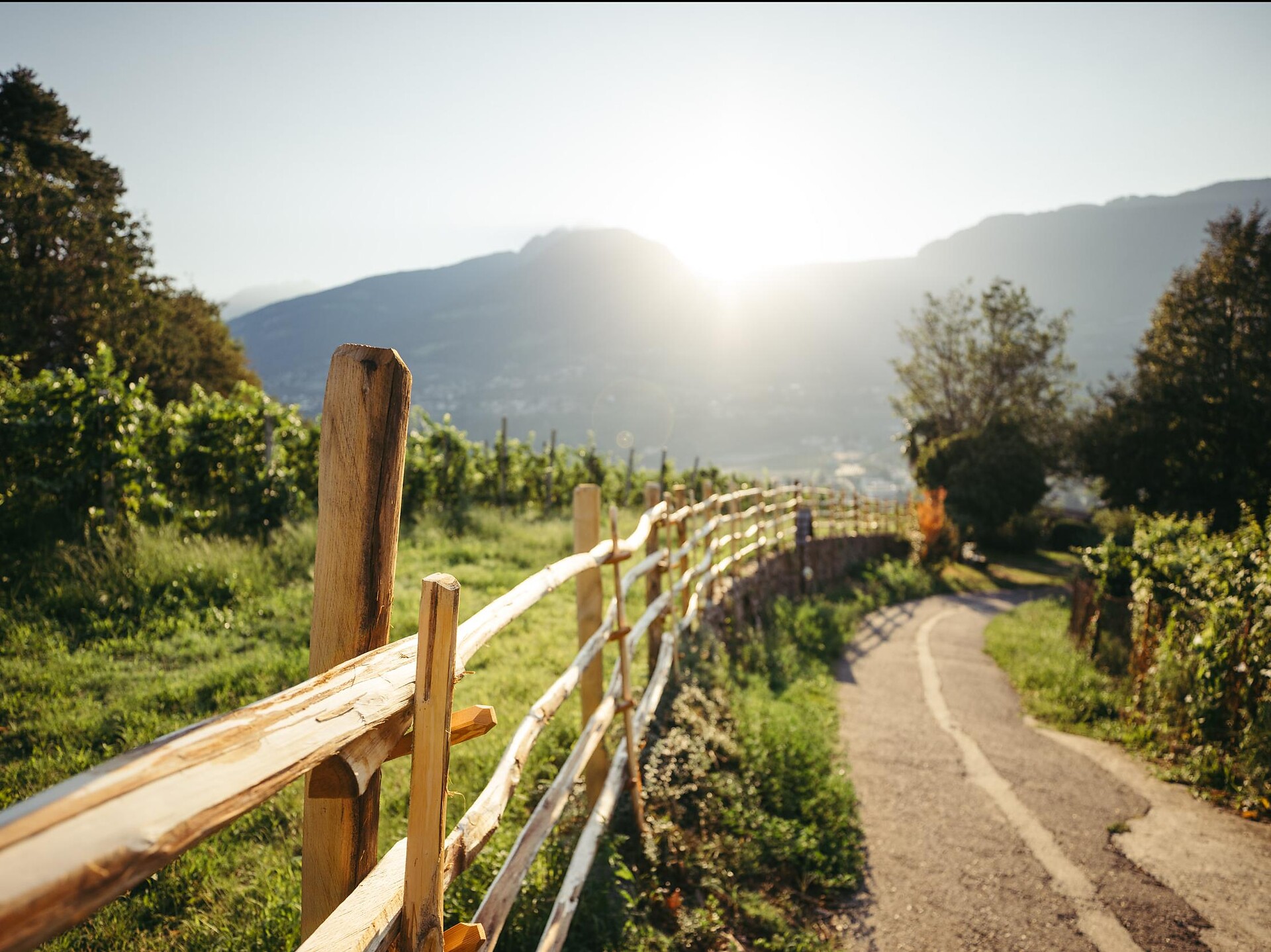 Hike along the panoramic trail - Meran/Merano and environs - #1 - suedtirol.info