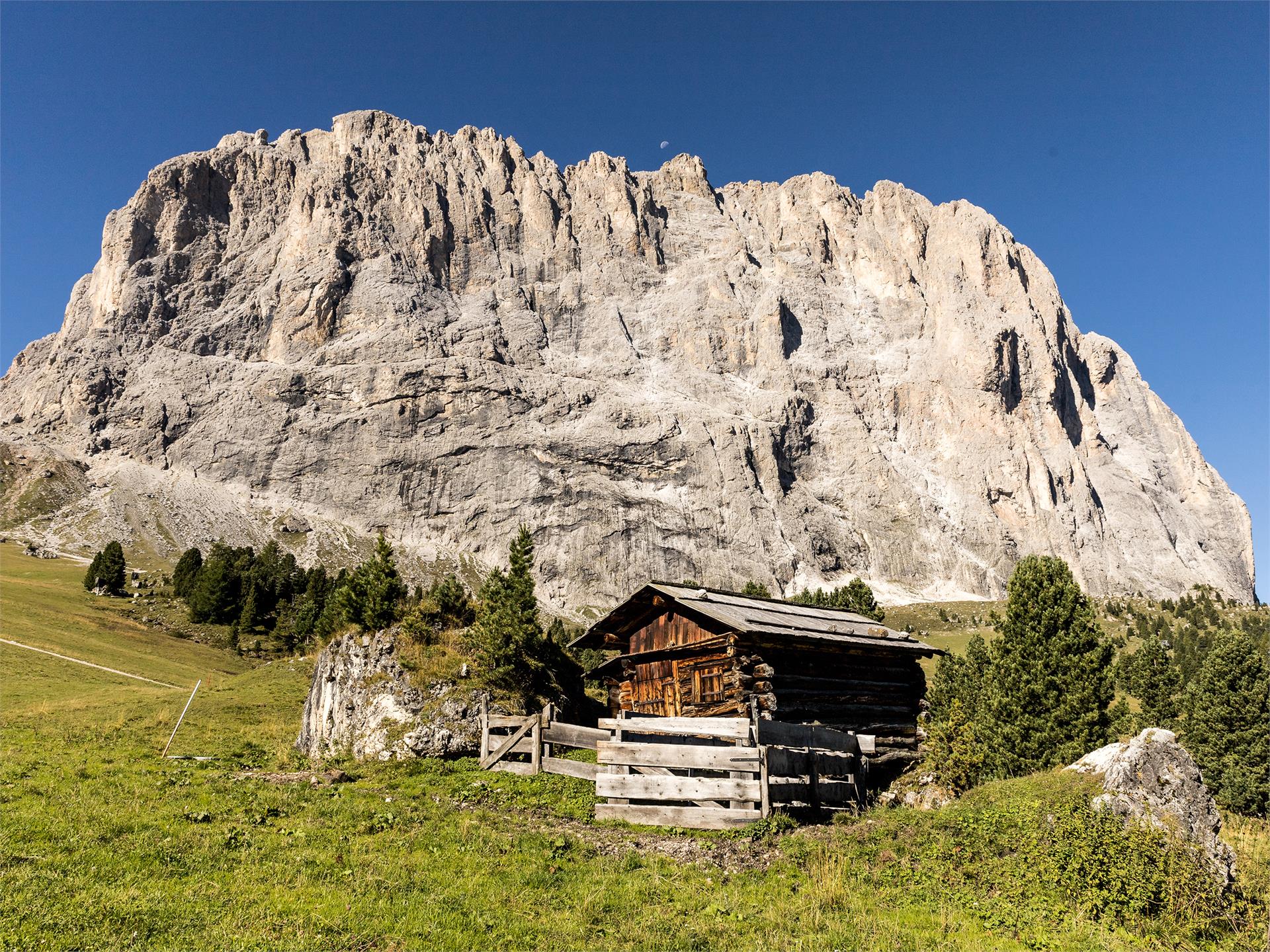 Excursion Plan de Gralba - Passo Sella Sëlva/Selva 1 suedtirol.info