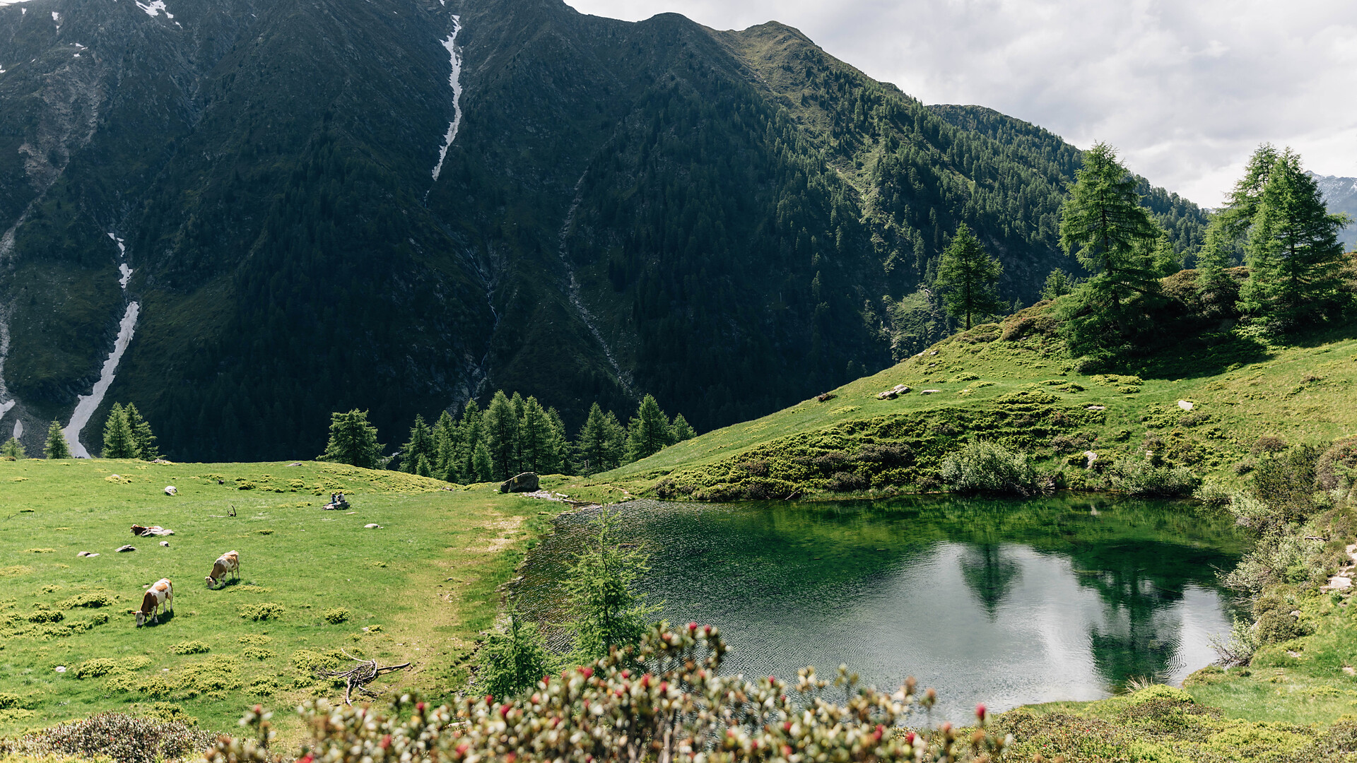 Wanderung zum Seebergsee - Meran und Umgebung - #1 - suedtirol.info