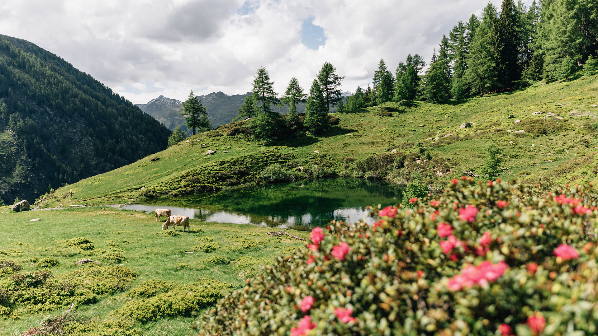 Wanderung zum Seebergsee - Meran und Umgebung - #2 - suedtirol.info