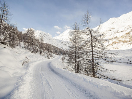 Winterwanderung von Pfelders ins Lazinsertal Moos in Passeier 1 suedtirol.info