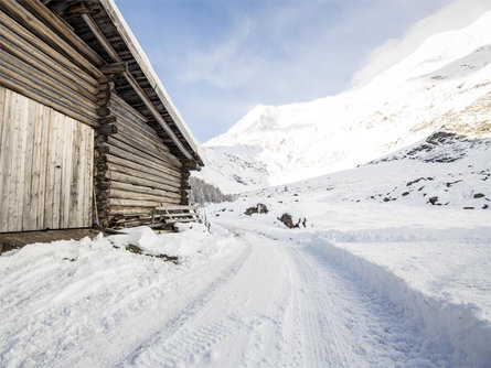 Winterwanderung von Pfelders ins Lazinsertal Moos in Passeier 4 suedtirol.info
