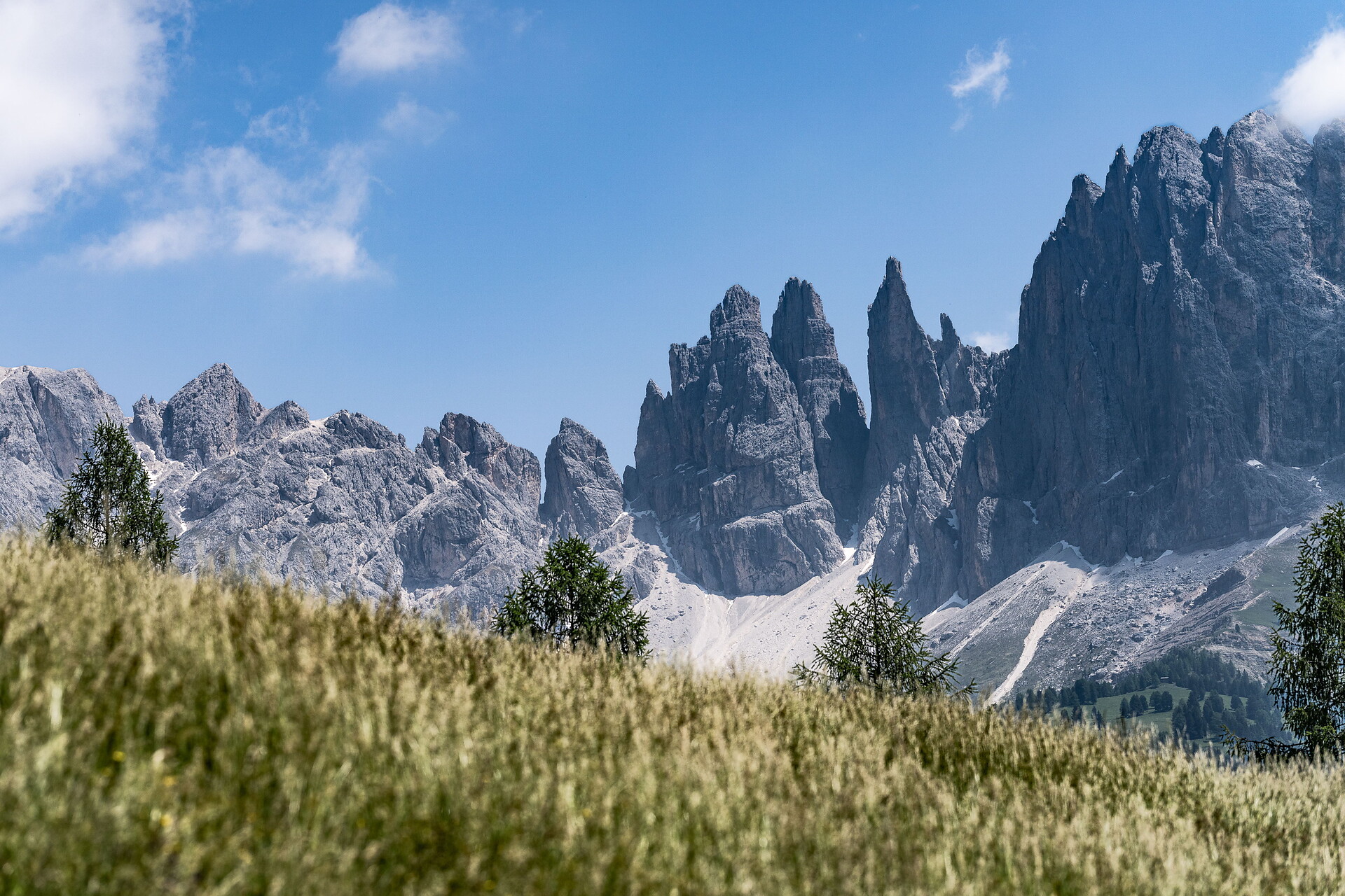 Hike to the Untertrompedeller Schwaige  - Dolomites Region Seiser Alm - #1 - suedtirol.info