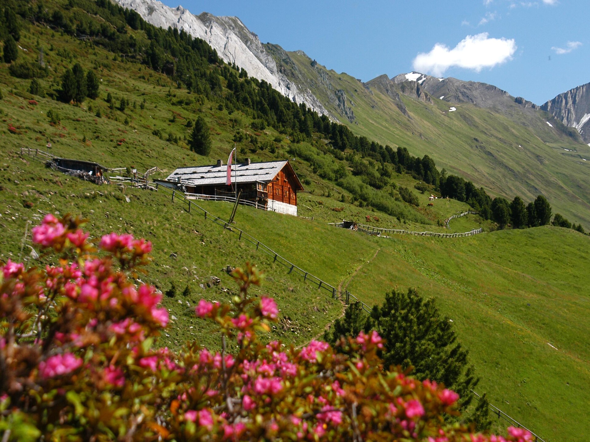 Escursione Malga Durra - Valle Aurina - #1 - suedtirol.info