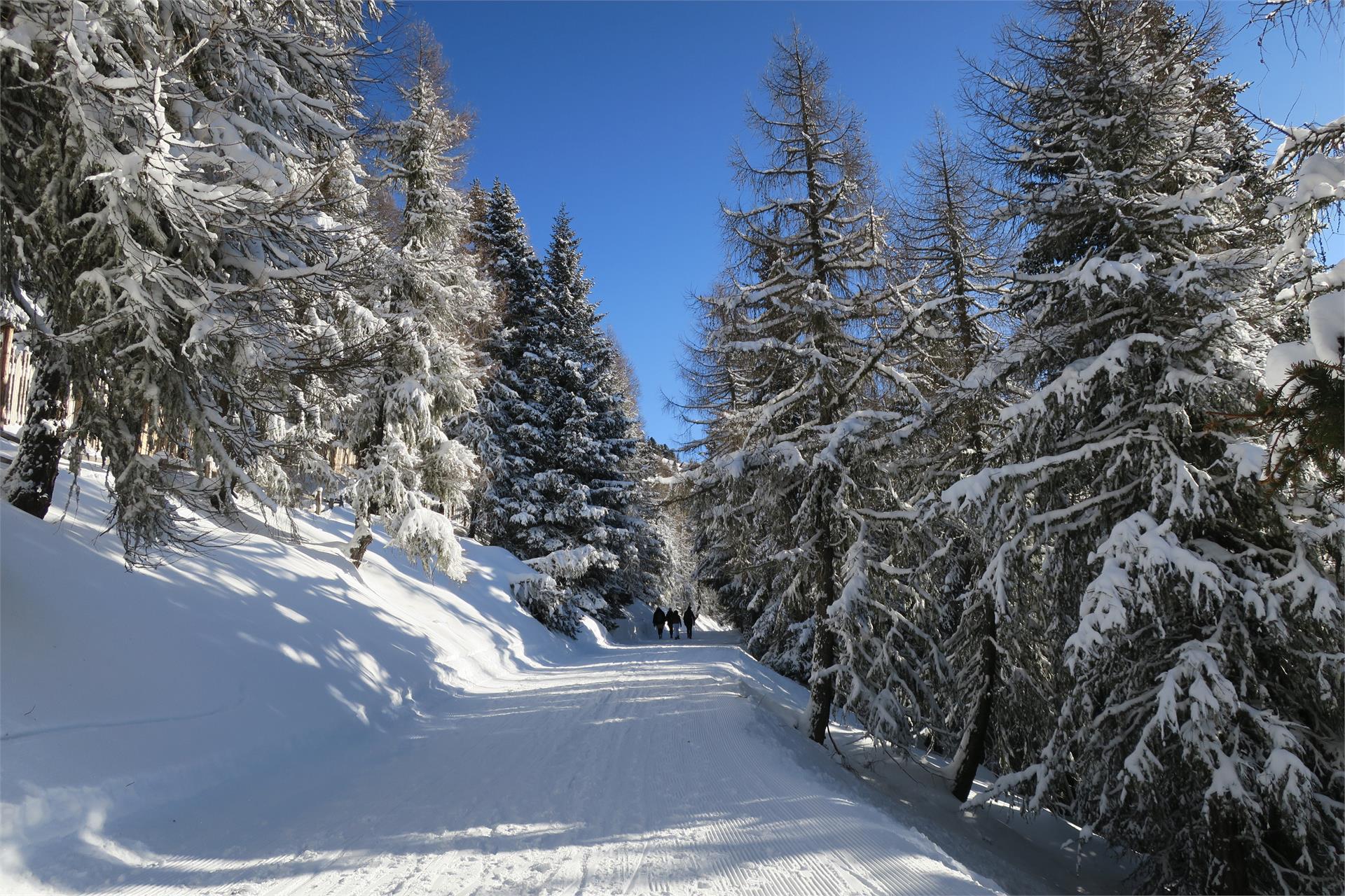Winterwanderung: Helmrestaurant - Hahnspielhütte Sexten 1 suedtirol.info