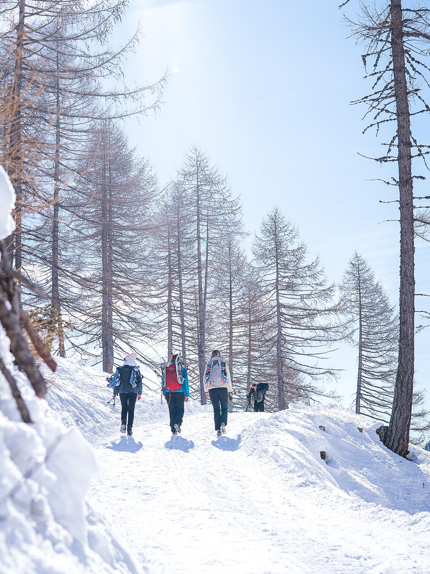 Winterwanderung zur Timmelsalm  - Meran und Umgebung - #6 - suedtirol.info