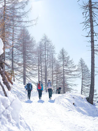 Winterwanderung zur Timmelsalm  - Moos in Passeier - #6 - suedtirol.info