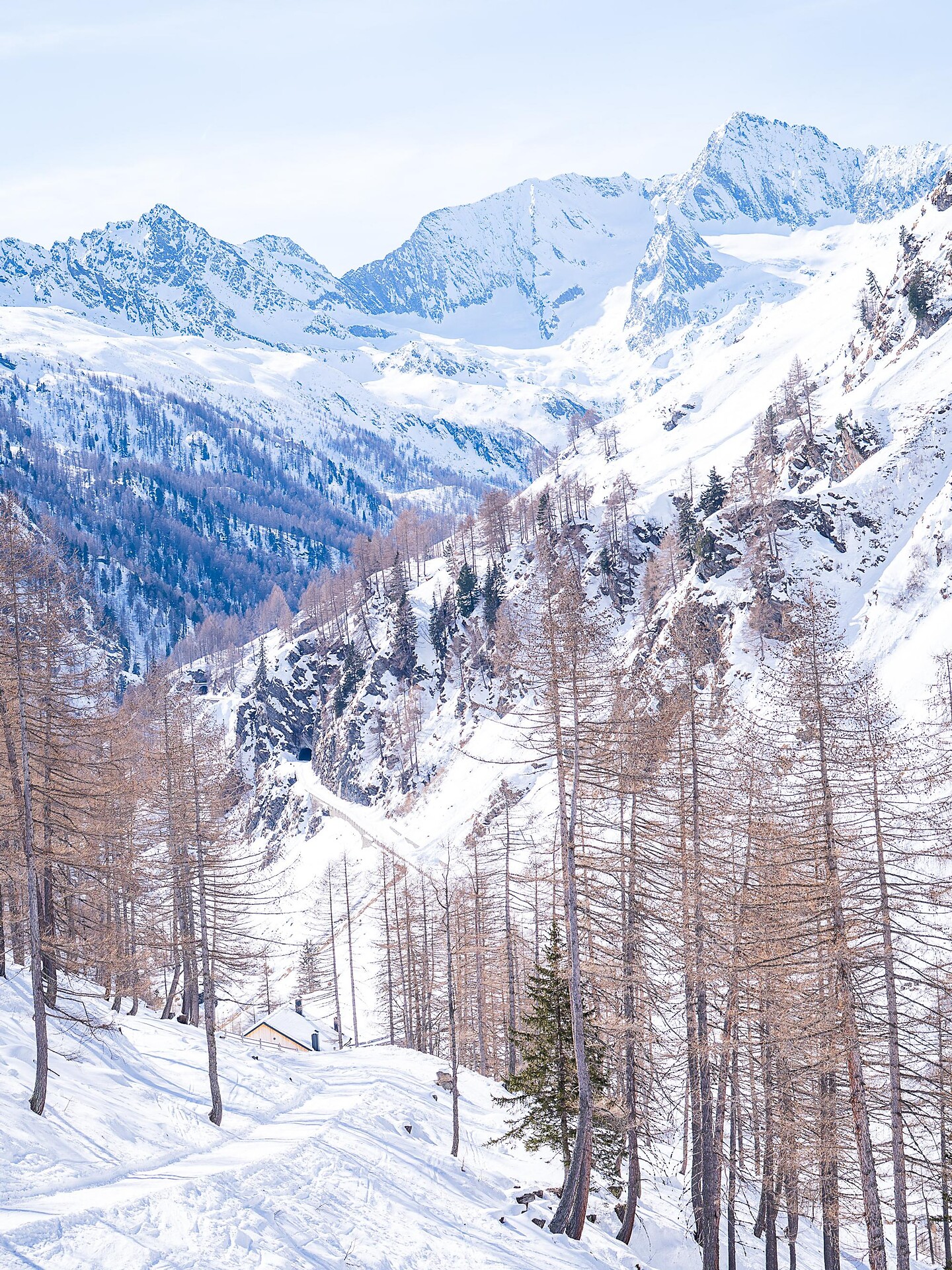 Winterwanderung zur Timmelsalm  - Meran und Umgebung - #13 - suedtirol.info