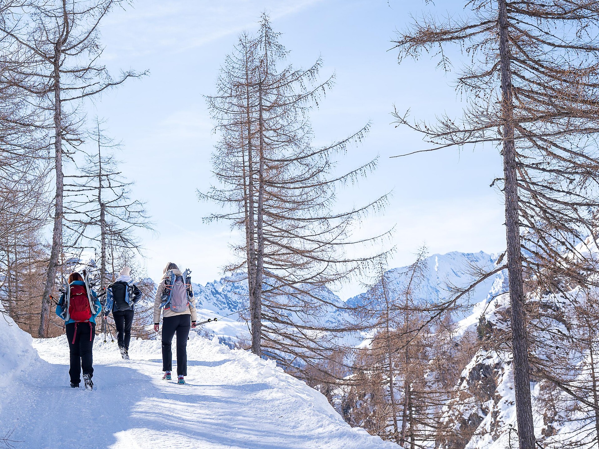 Winterwanderung zur Timmelsalm  - Meran und Umgebung - #5 - suedtirol.info