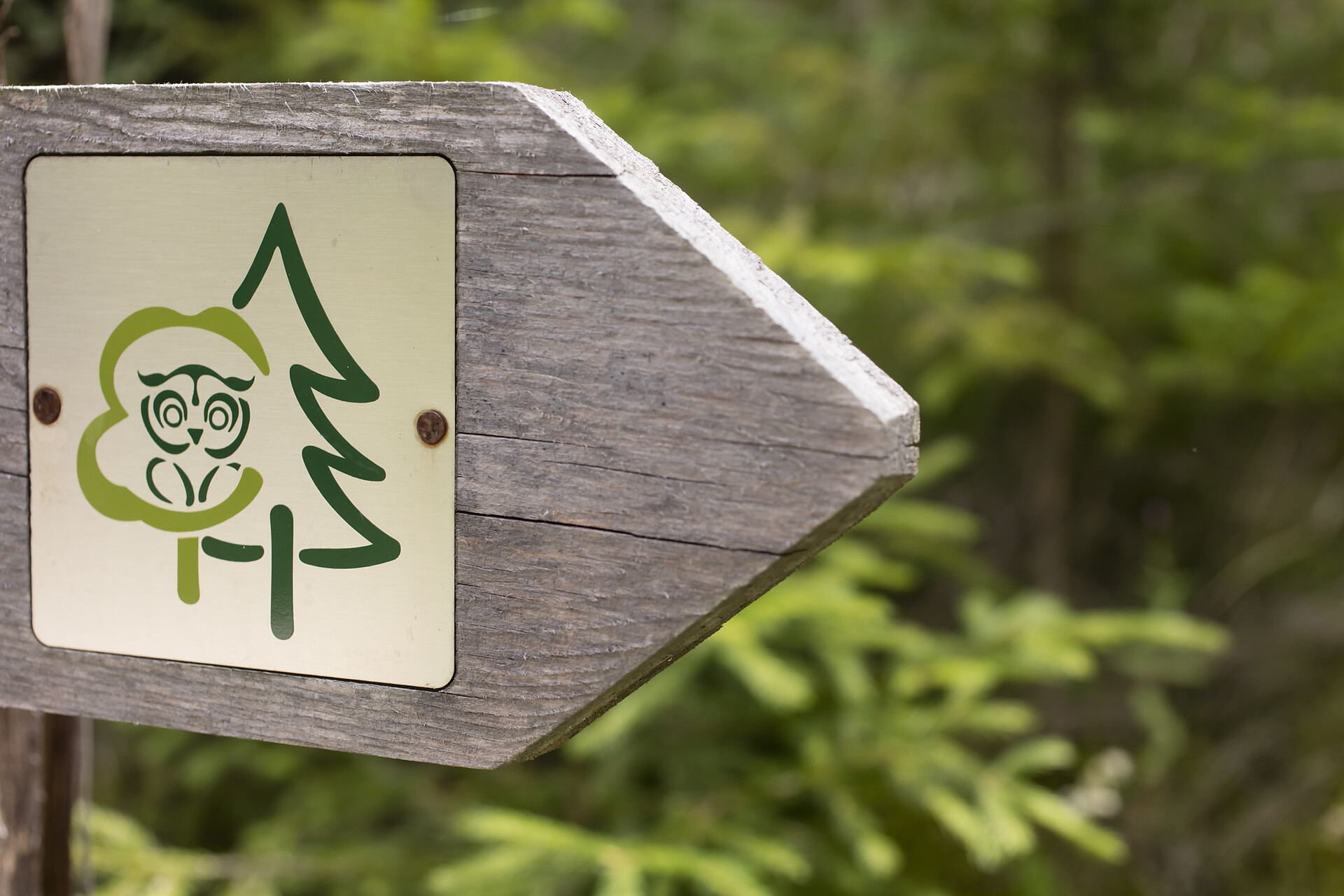Walderlebnispfad Aschbach