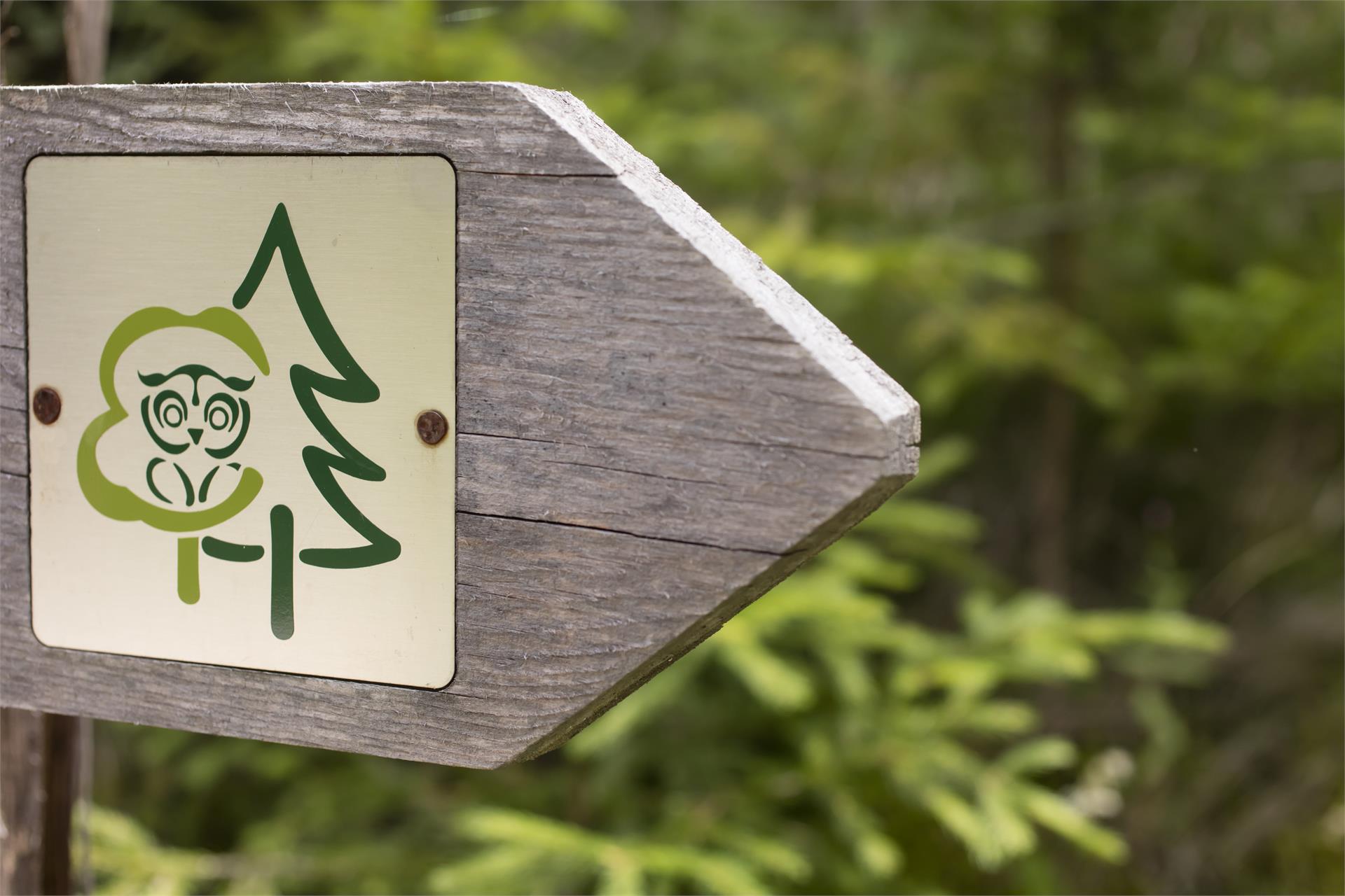 Walderlebnispfad Aschbach Algund 7 suedtirol.info