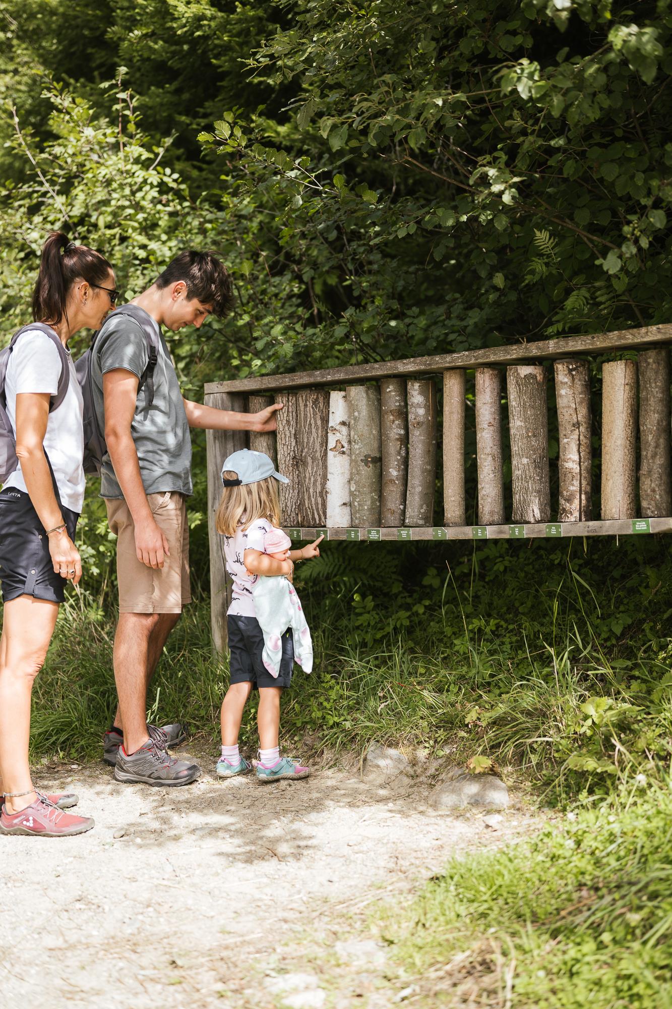 Walderlebnispfad Aschbach Algund 4 suedtirol.info