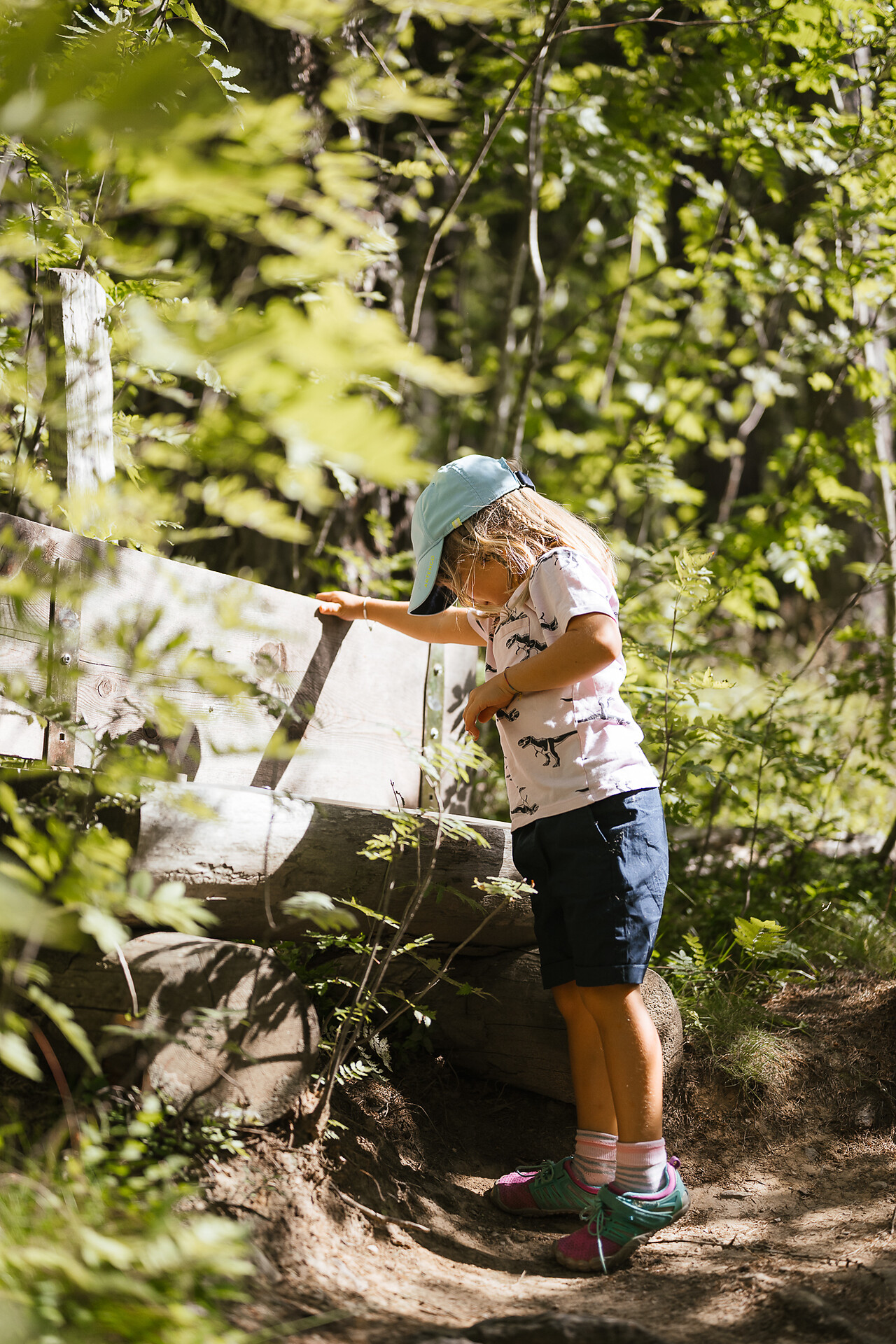 Walderlebnispfad Aschbach adventure trail