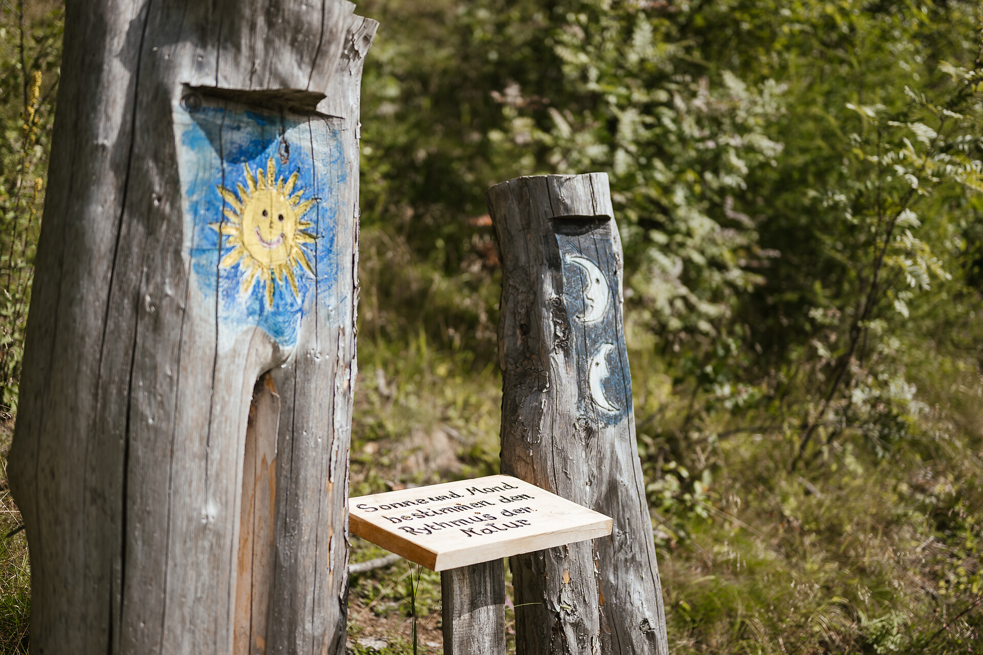 Walderlebnispfad Aschbach adventure trail
