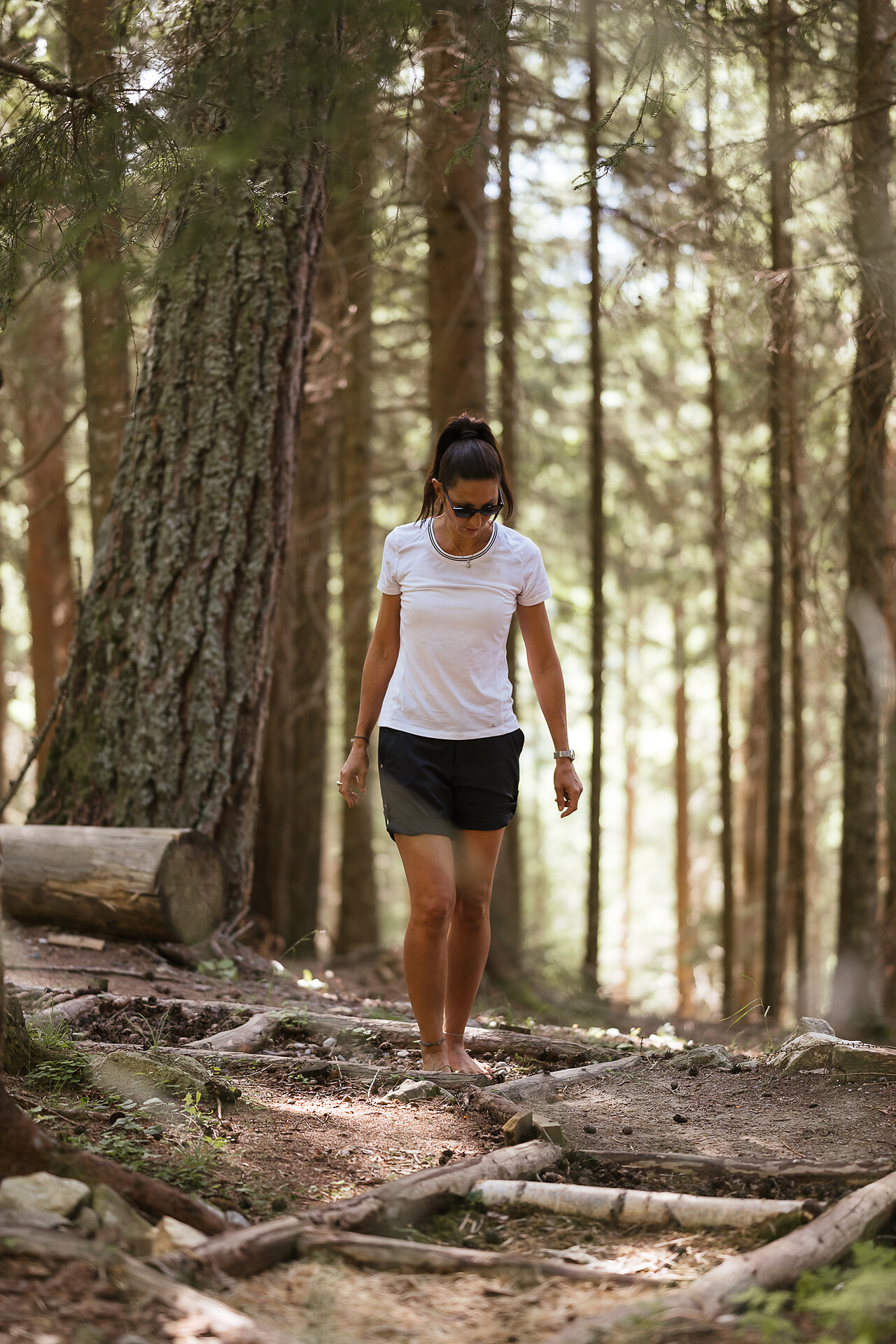 Walderlebnispfad Aschbach adventure trail