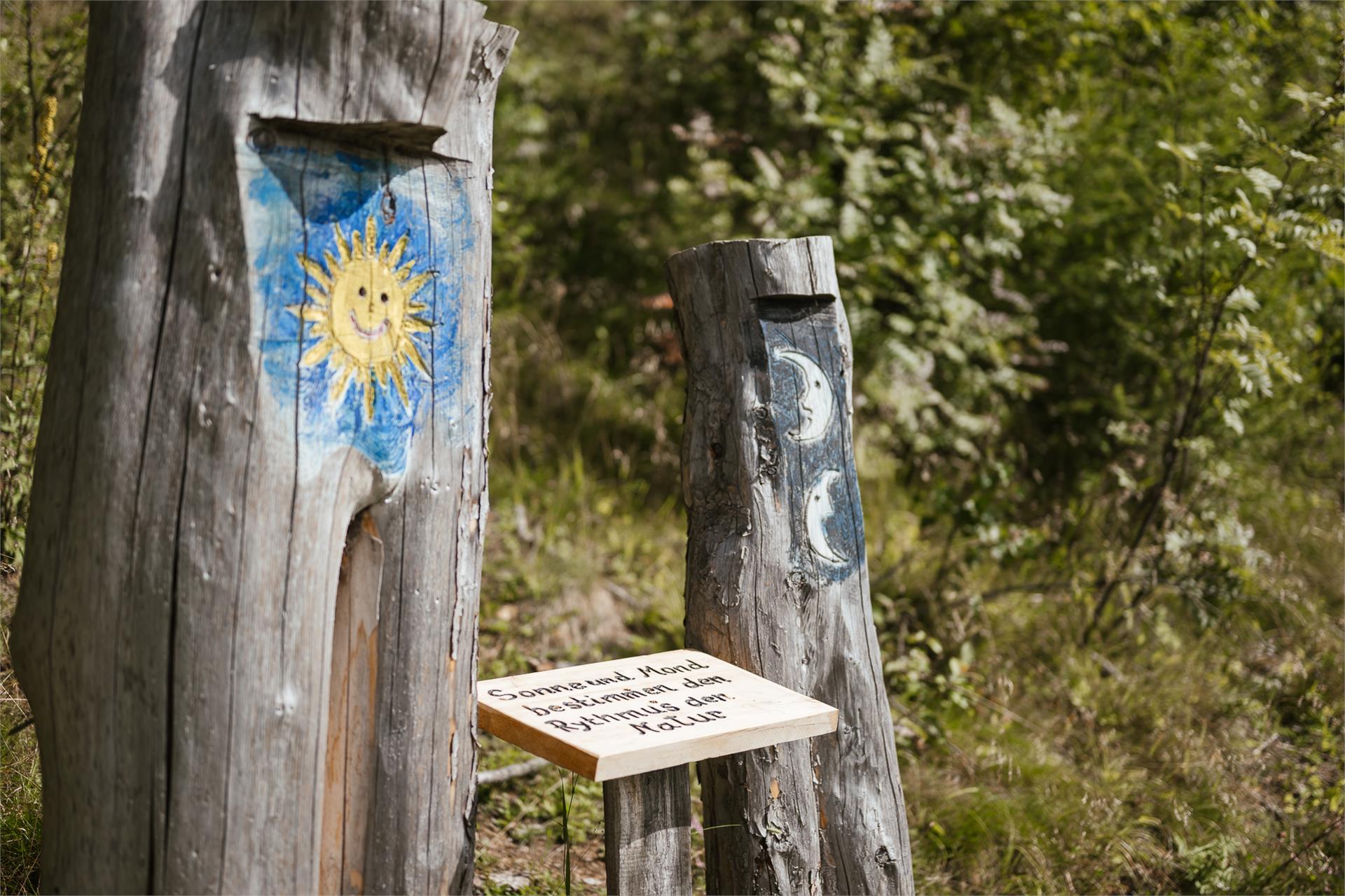 Walderlebnispfad Aschbach Algund 14 suedtirol.info