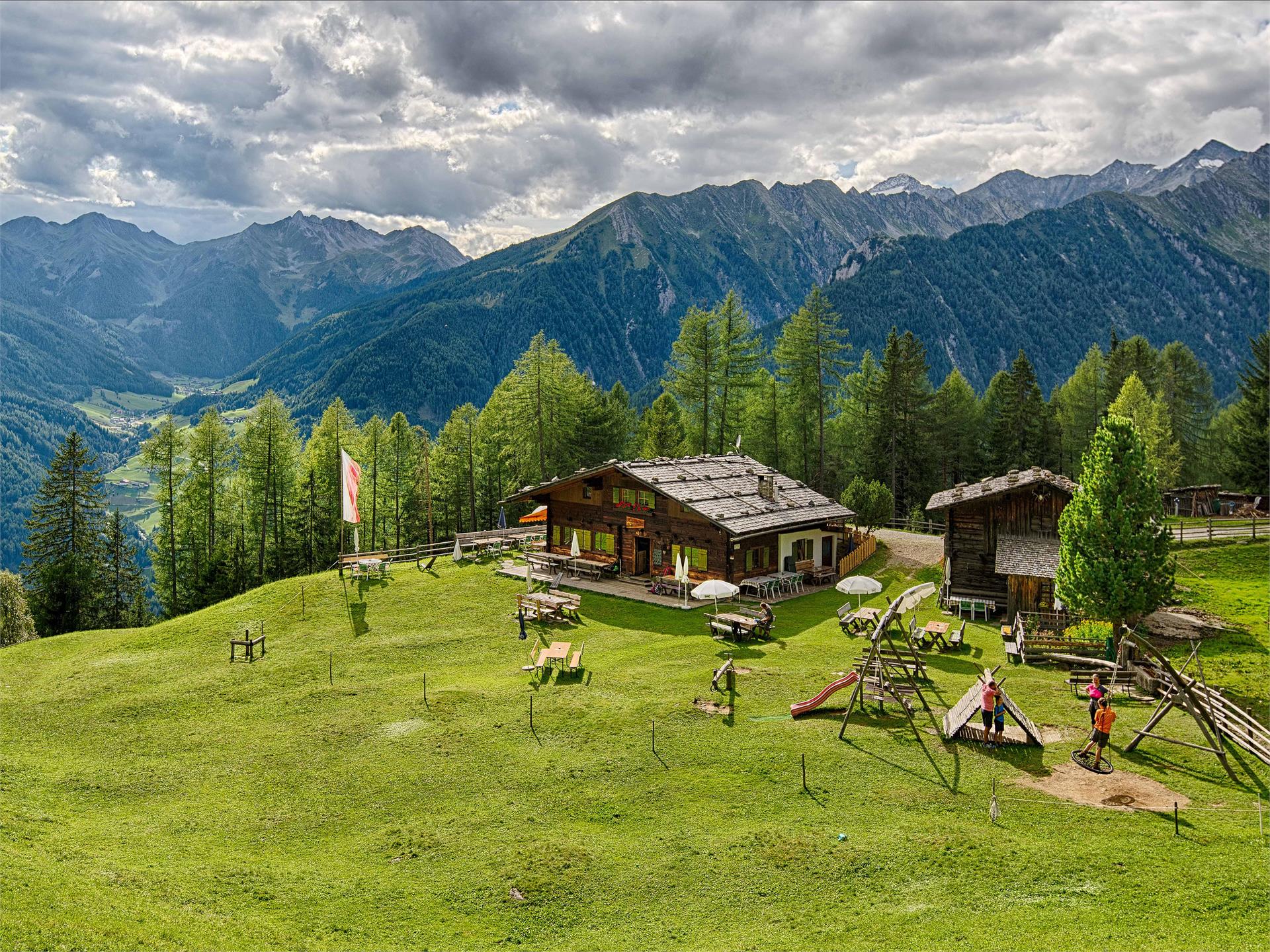 Hike to the Niederhofer Alm (1603m) Ahrntal/Valle Aurina 1 suedtirol.info