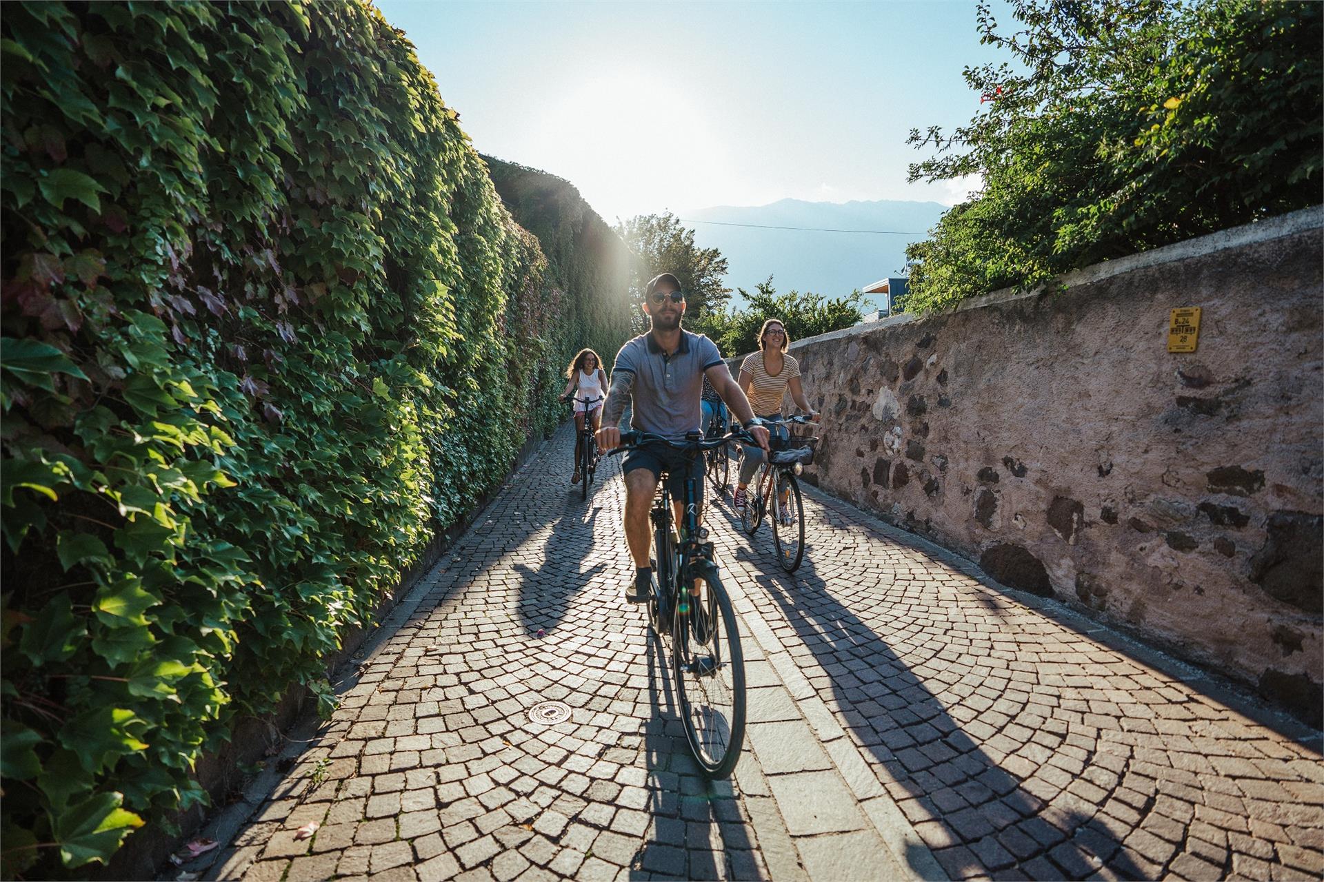 Weinradroute Süd, Wein & Rad: Gewürztraminer & Blauburgunder Kurtatsch an der Weinstraße 11 suedtirol.info