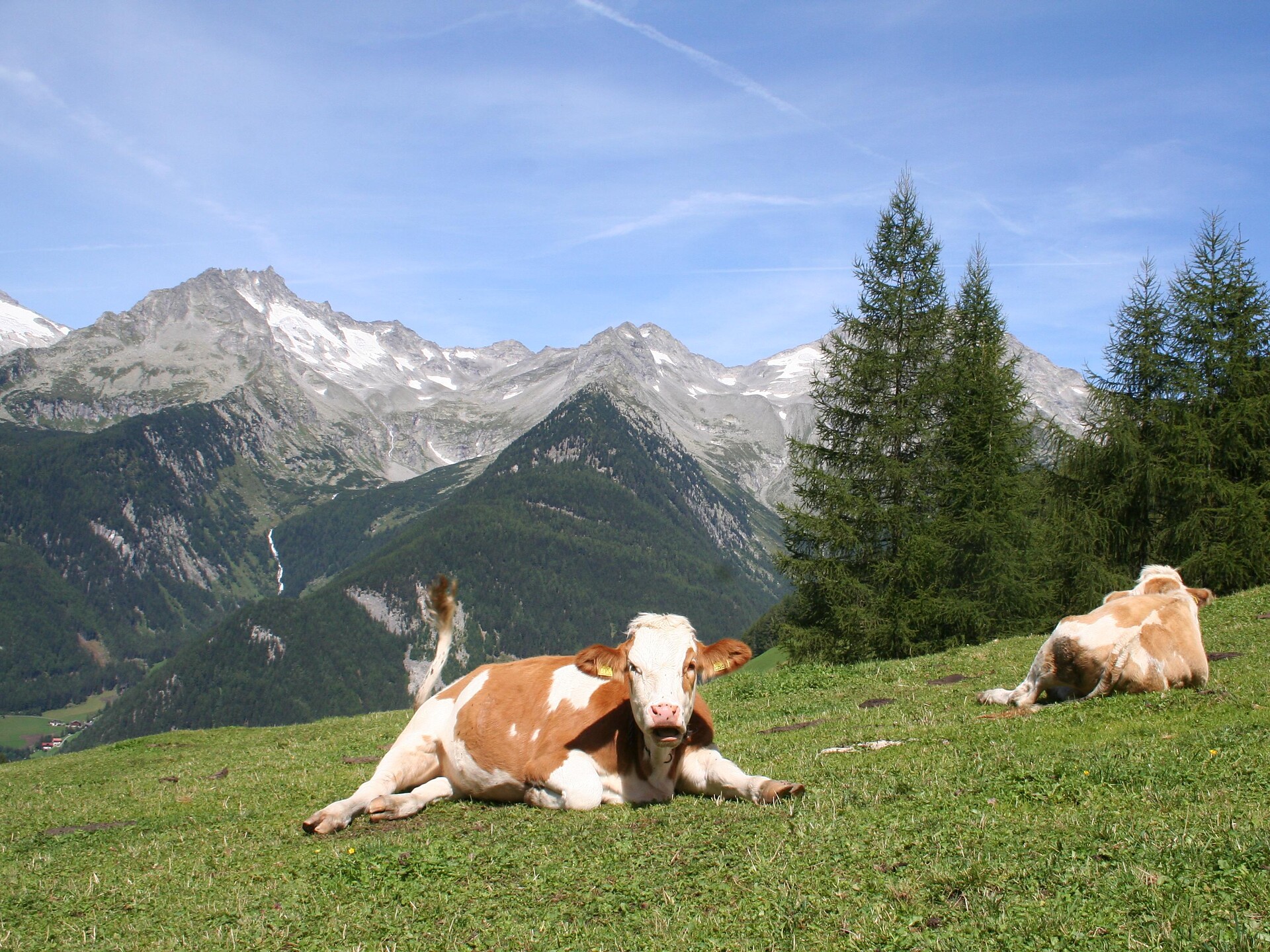 Vom Großklausental ins Bärental - Ahrntal - #2 - suedtirol.info