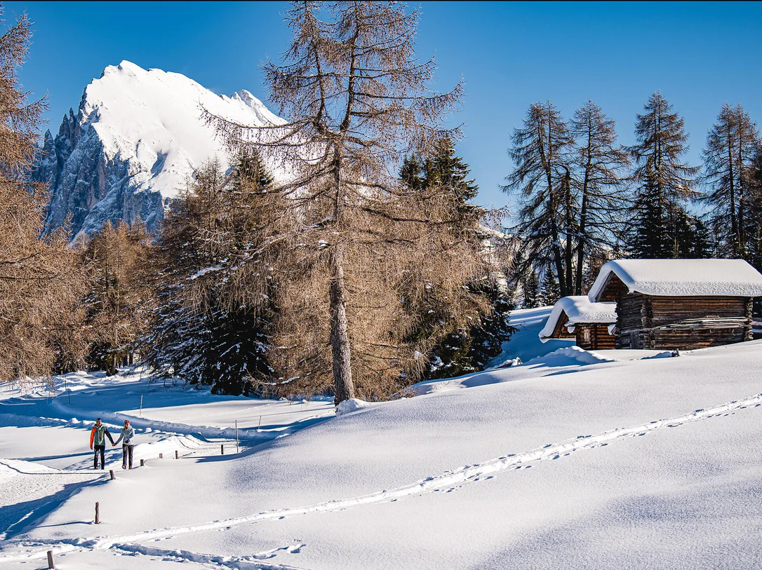 Winter hike on the Hans and Paula Steger trail