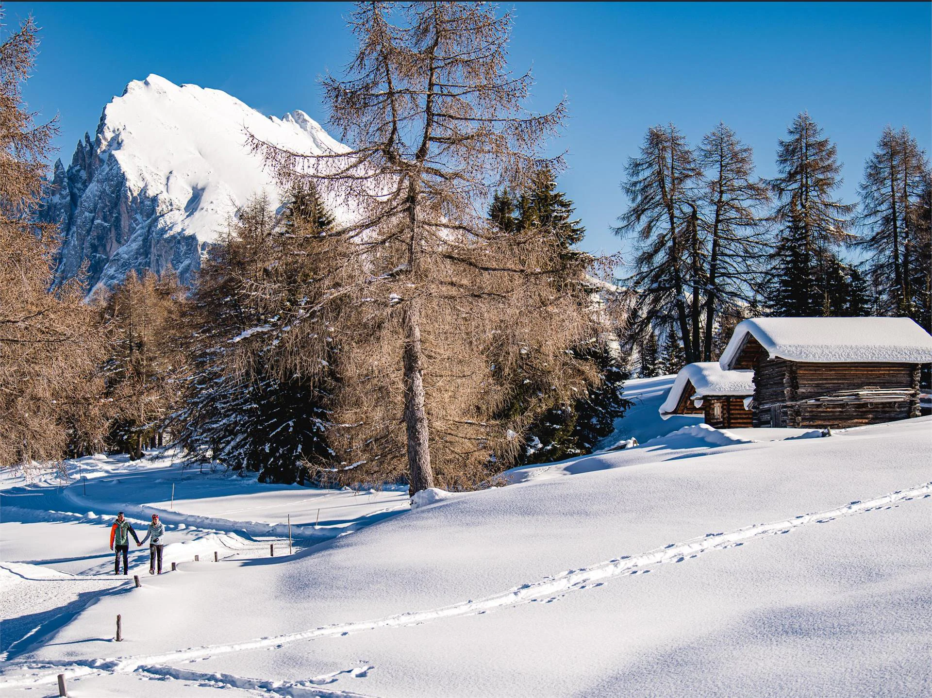 Winter hike on the Hans and Paula Steger trail Kastelruth/Castelrotto 1 suedtirol.info