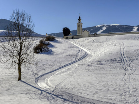 Winterwanderung Oberolang - Welsberg Olang 1 suedtirol.info