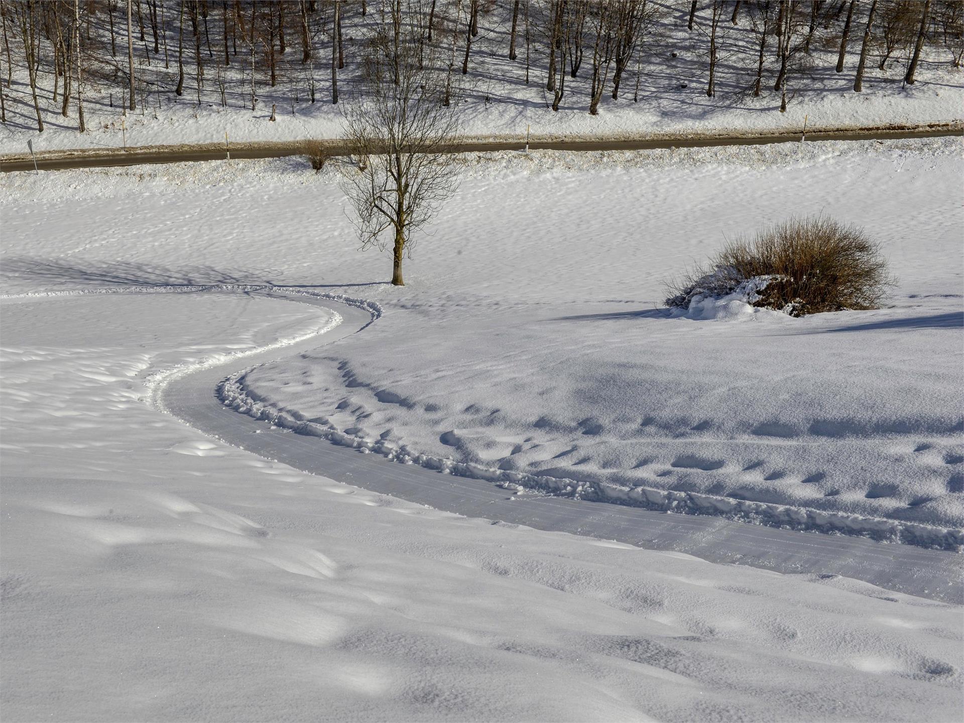 Winterwanderung Oberolang - Welsberg Olang 2 suedtirol.info
