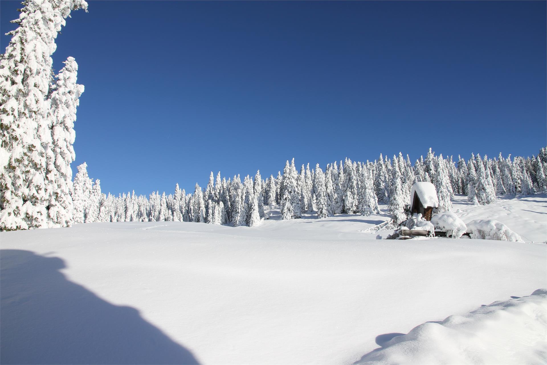 Escursione dal Ötzgatter agli omini di pietra Sarentino 2 suedtirol.info
