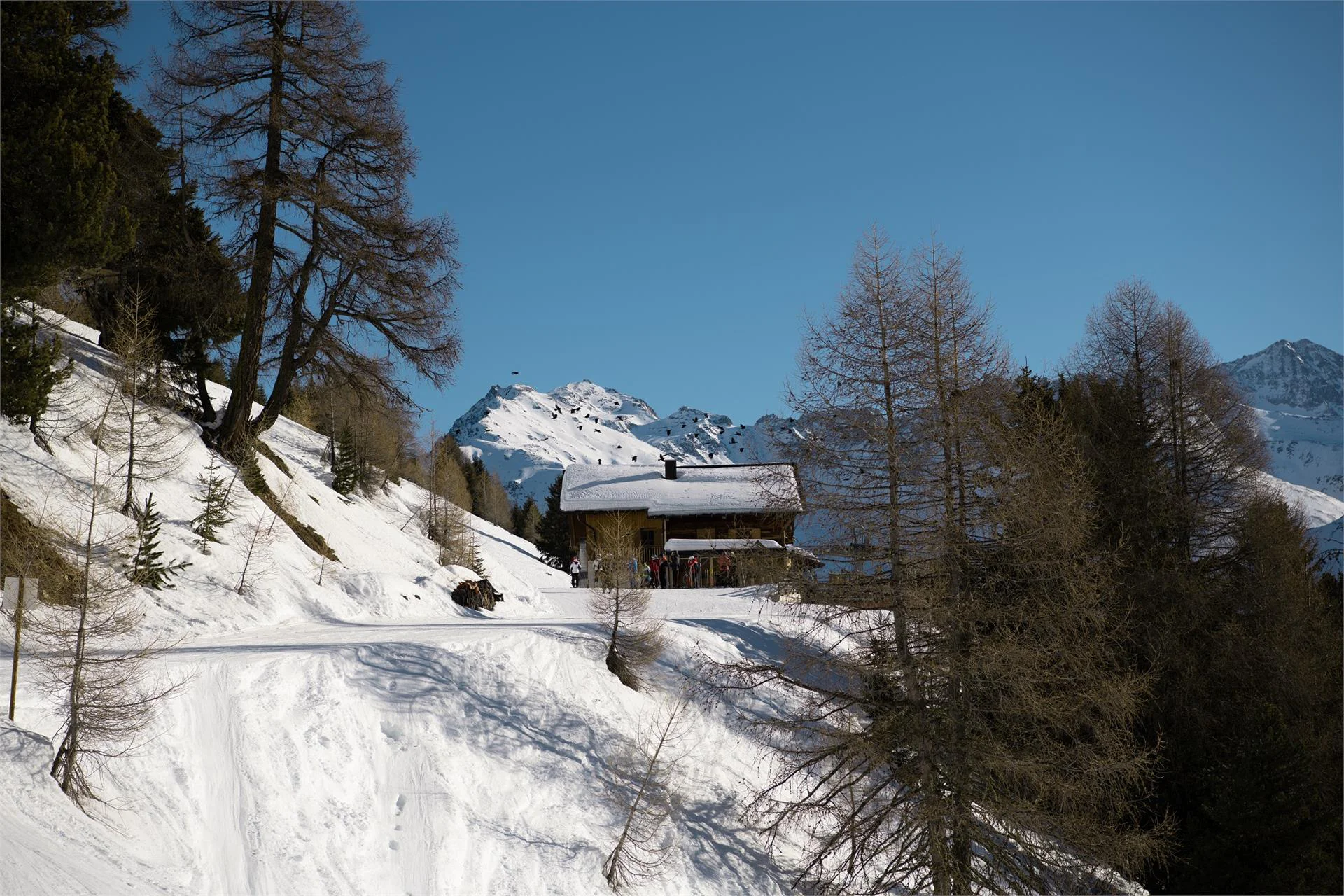 Escursione d'inverno Fragges – malga di Prato - rifugio Forcola Stelvio 1 suedtirol.info
