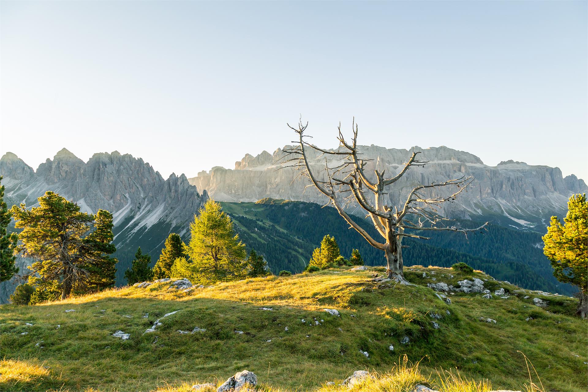 Excursion to the Stevia hut along the forcella Piza until the refuge Firenze Sëlva/Selva 4 suedtirol.info