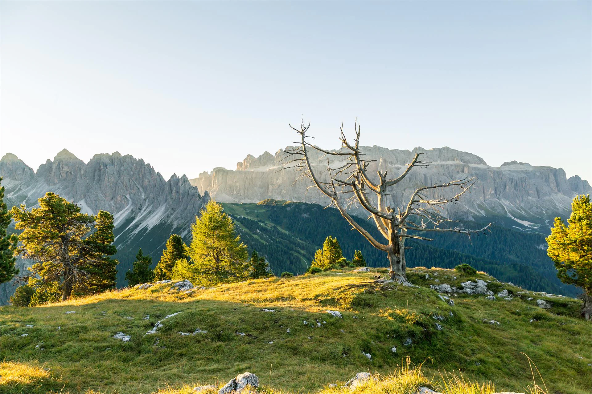 Excursion to the Stevia hut along the forcella Piza until the refuge Firenze Sëlva/Selva 4 suedtirol.info