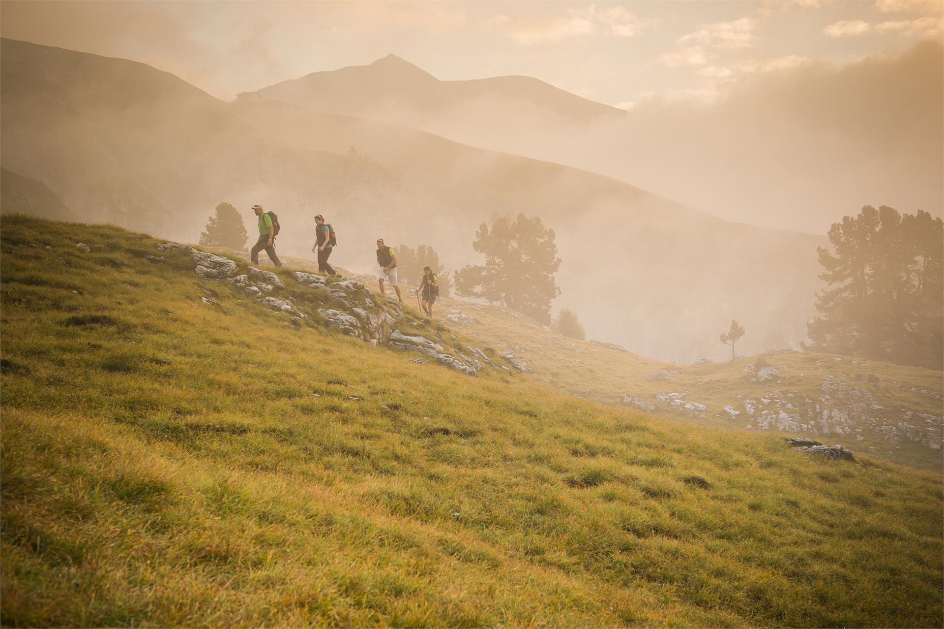 Excursion to the Stevia hut along the forcella Piza until the refuge Firenze Sëlva/Selva 8 suedtirol.info