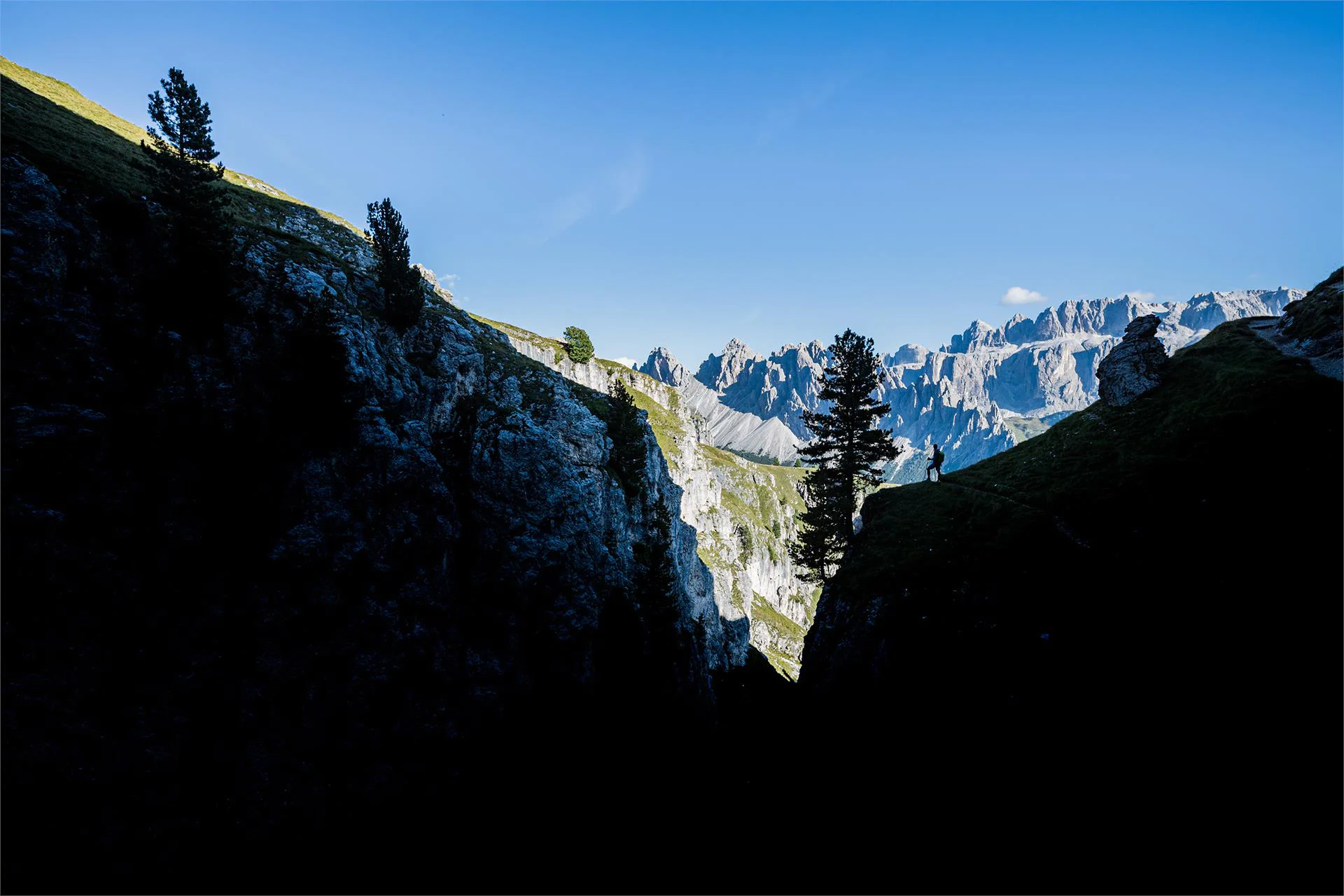 Excursion to the Stevia hut along the forcella Piza until the refuge Firenze Sëlva/Selva 6 suedtirol.info