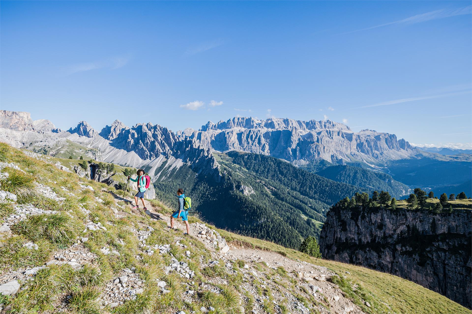 Excursion to the Stevia hut along the forcella Piza until the refuge Firenze Sëlva/Selva 5 suedtirol.info