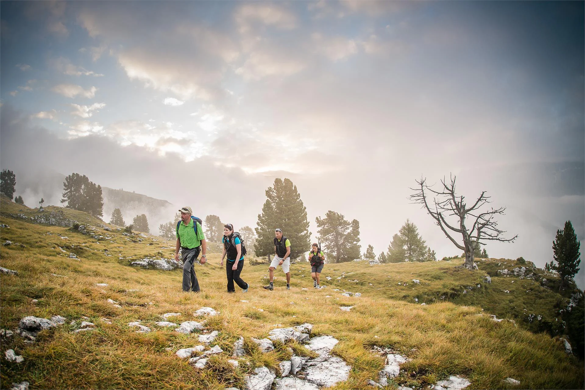 Excursion to the Stevia hut along the forcella Piza until the refuge Firenze Sëlva/Selva 2 suedtirol.info