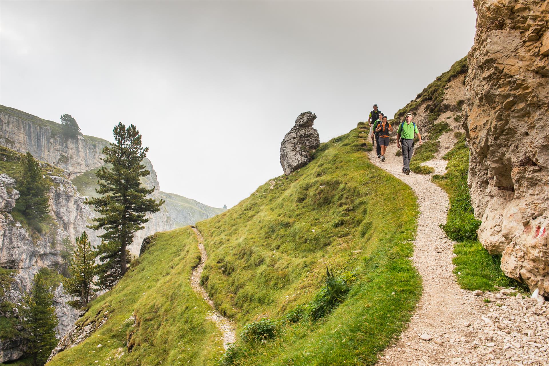 Excursion to the Stevia hut along the forcella Piza until the refuge Firenze Sëlva/Selva 9 suedtirol.info