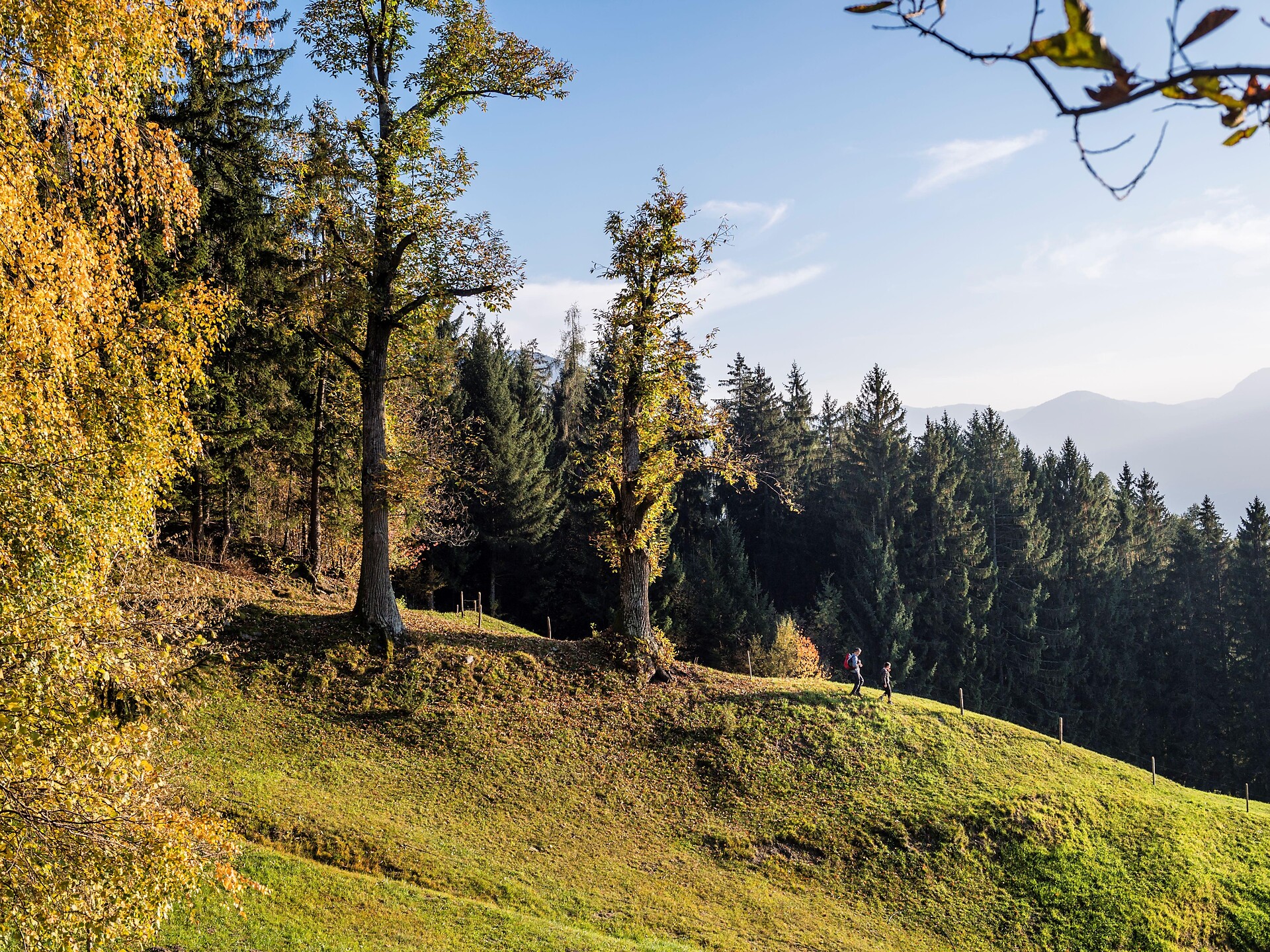 Sentiero Raststeinweg