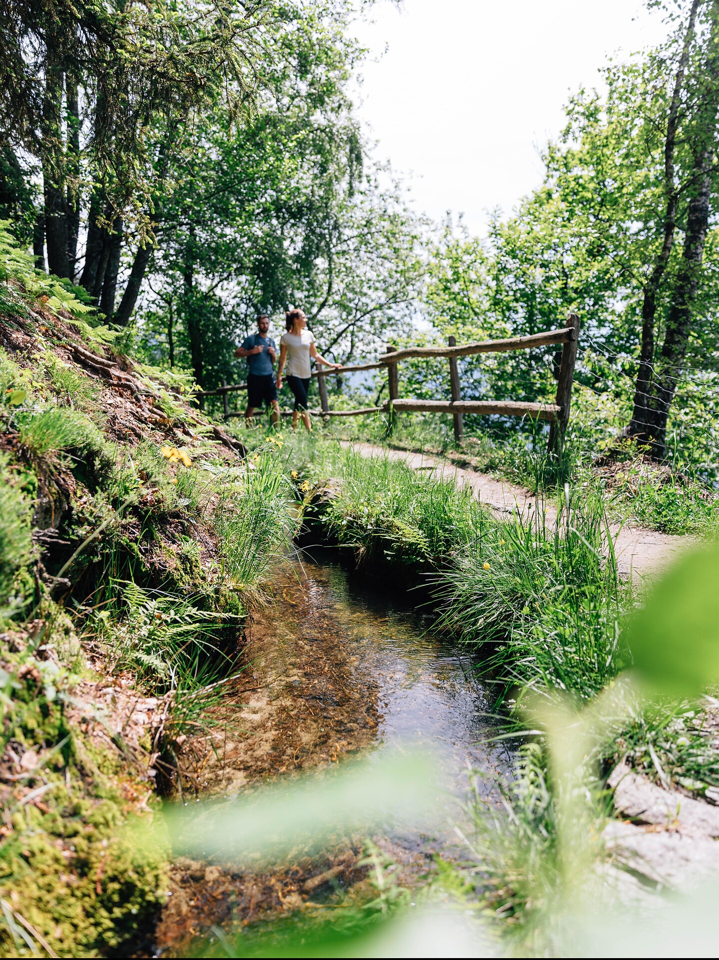 Wanderung Kuenser Waalweg Kuens 2 suedtirol.info
