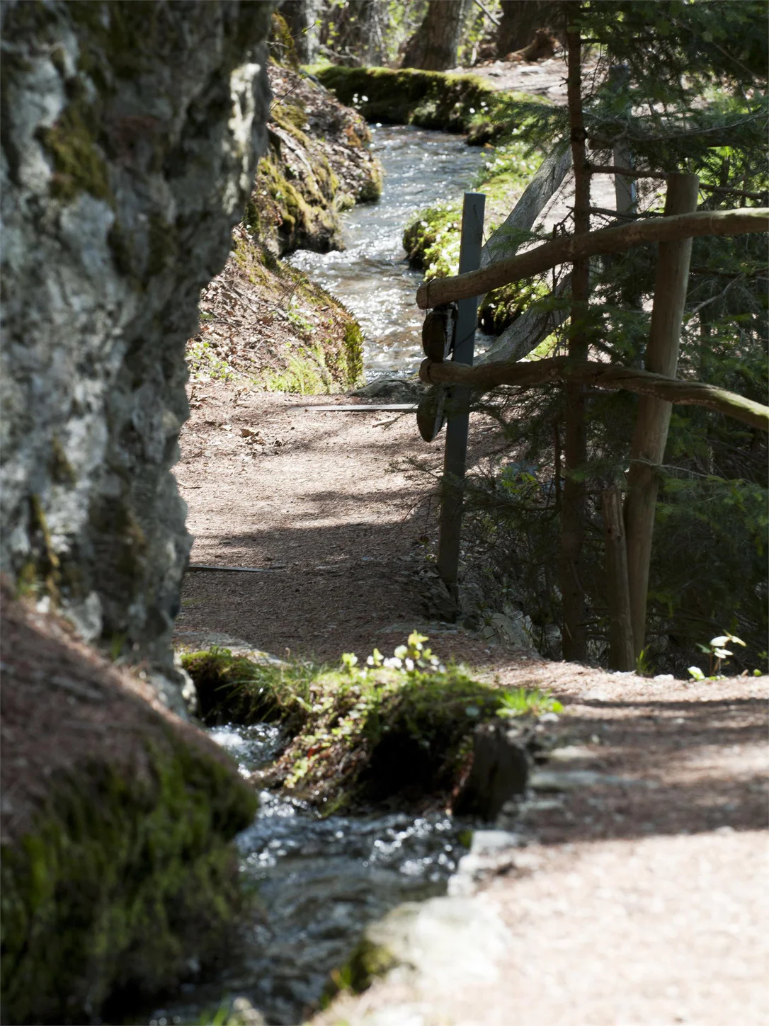 Passeggiata lungo il Waalweg di Caines