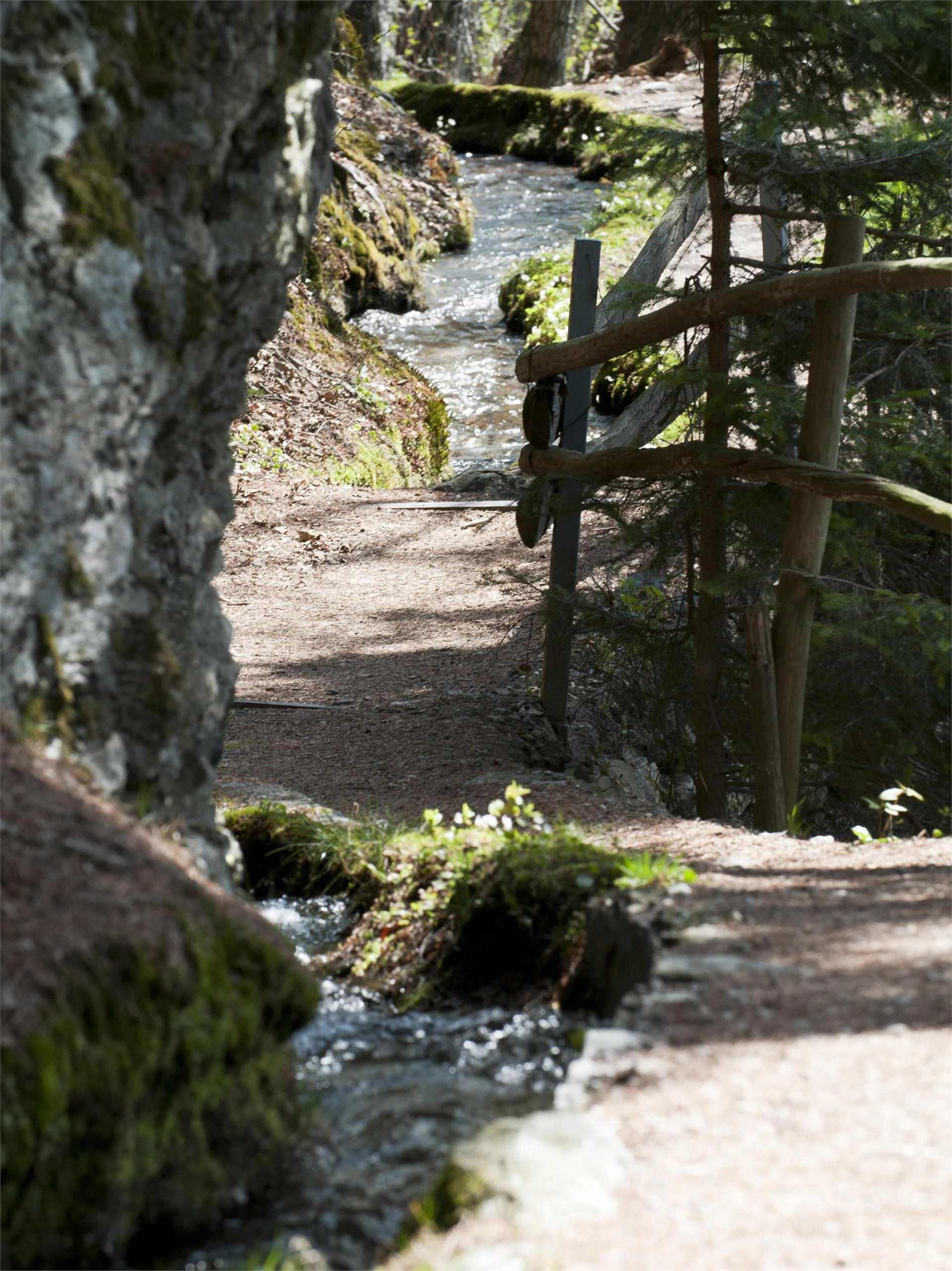 Kuenser Waalweg Trail Kuens/Caines 1 suedtirol.info