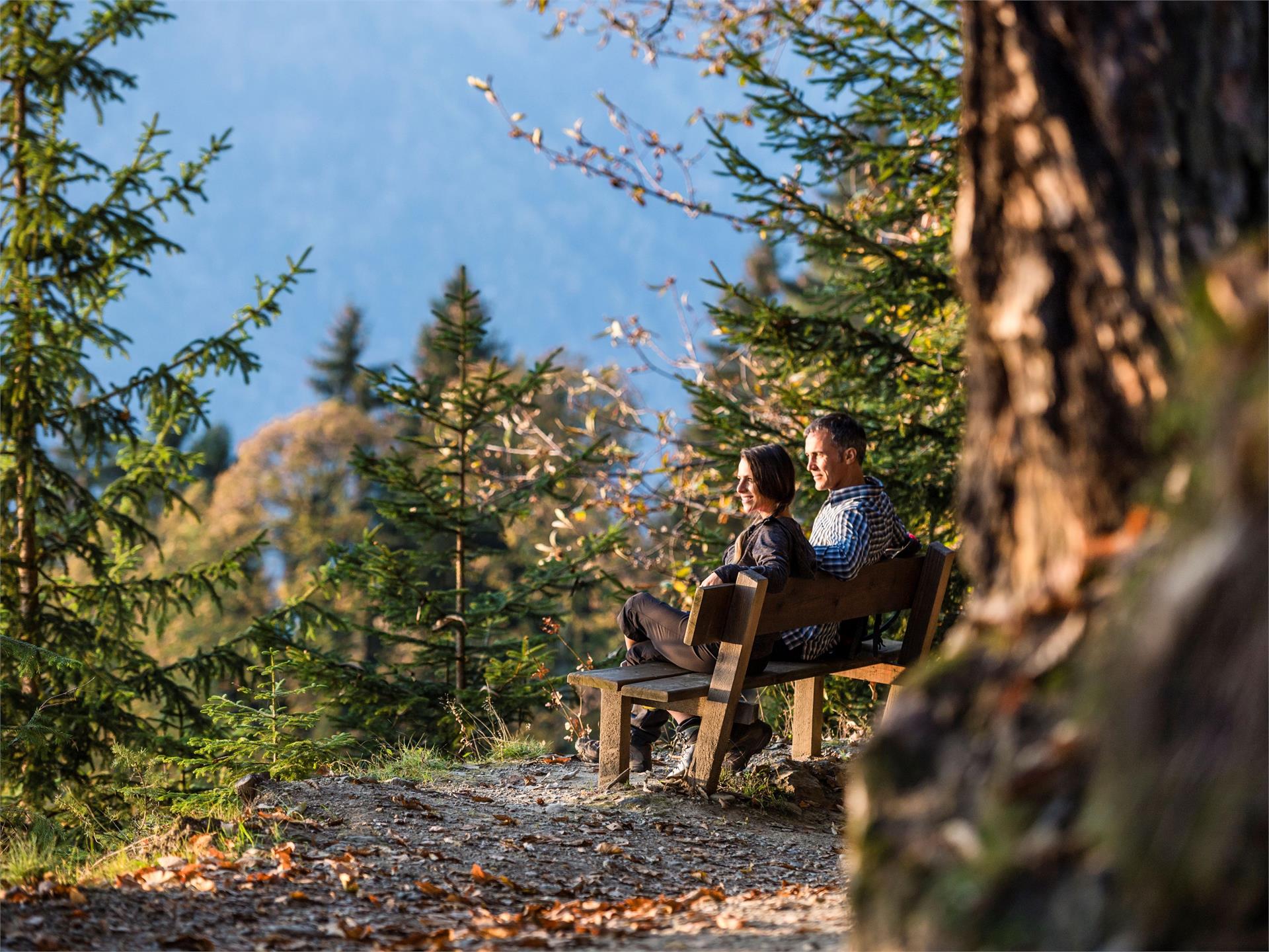 Escursione al maso Rastlhof Scena 3 suedtirol.info