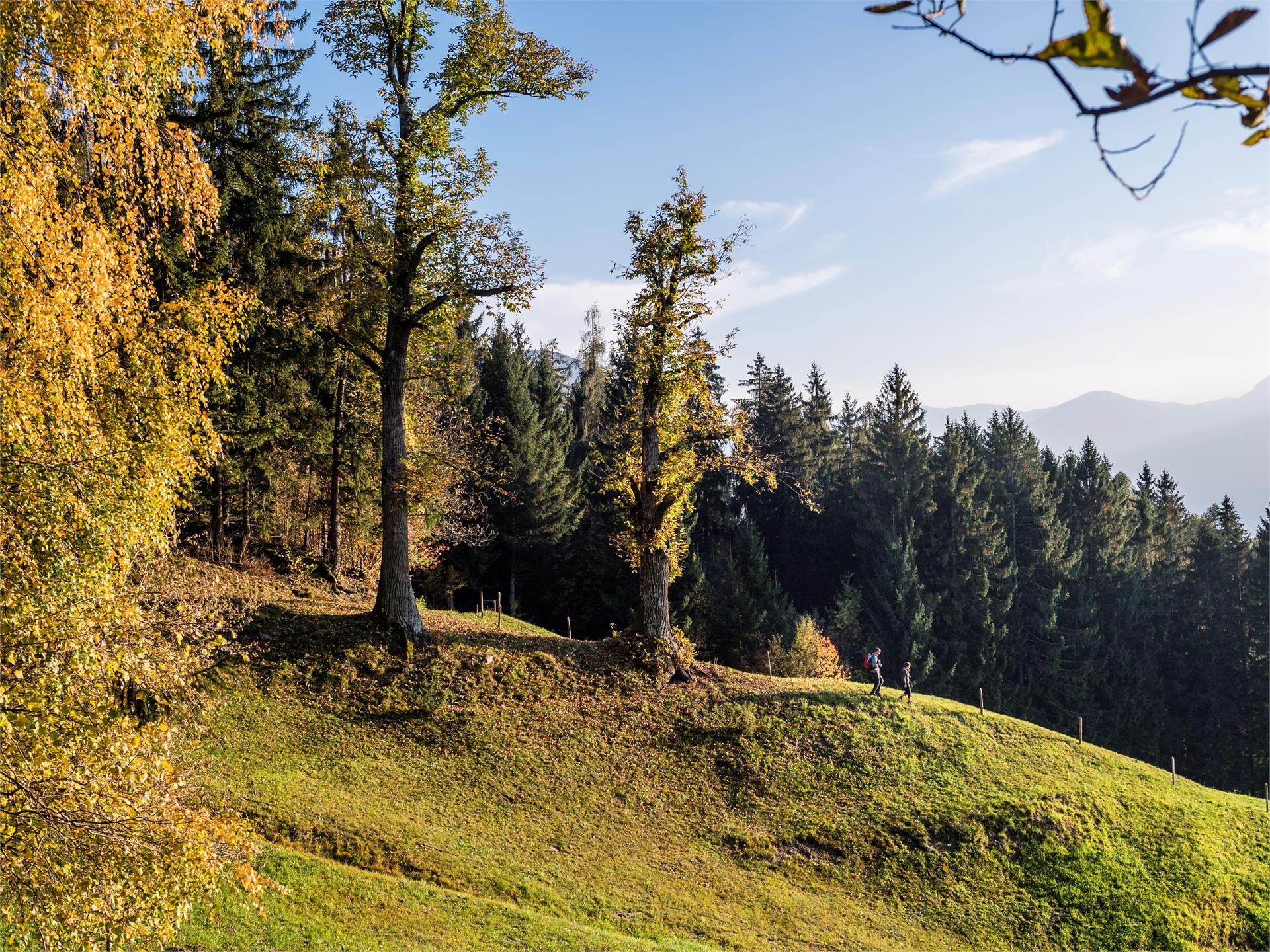 Escursione al maso Rastlhof Scena 2 suedtirol.info