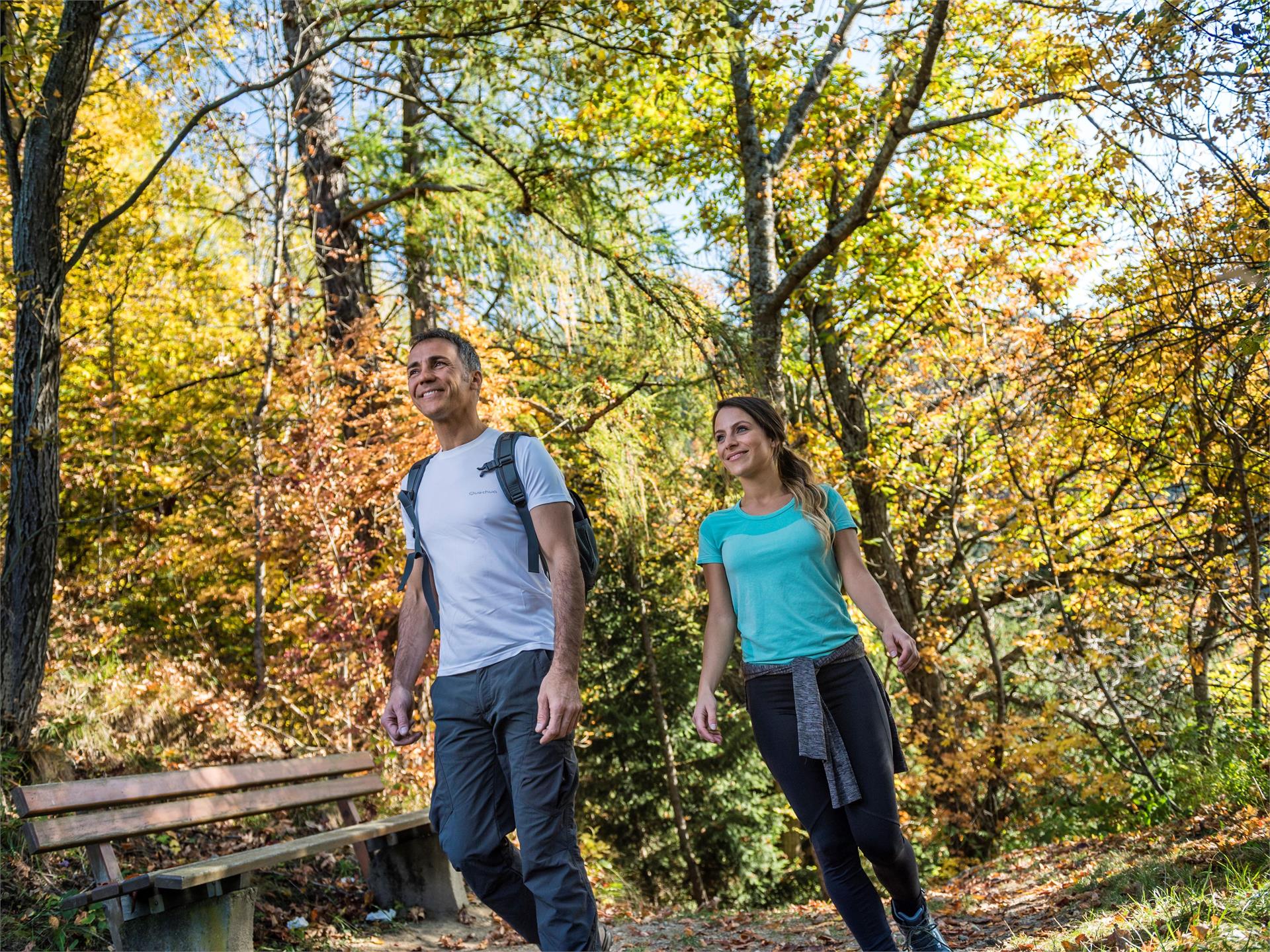 Escursione al maso Rastlhof Scena 4 suedtirol.info