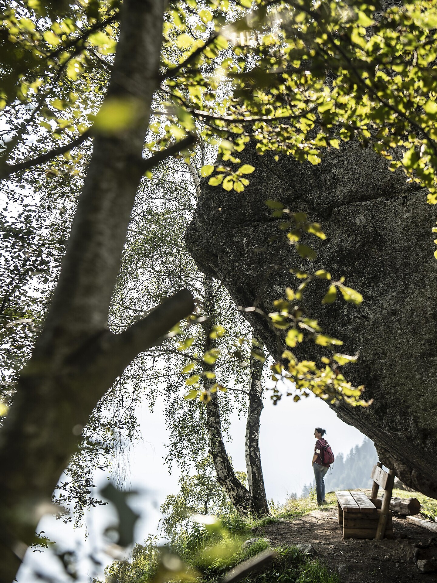 Dove parla l’acqua – lungo antichi sentieri verso la Cascata di Parcines - Merano e dintorni - #19 - suedtirol.info