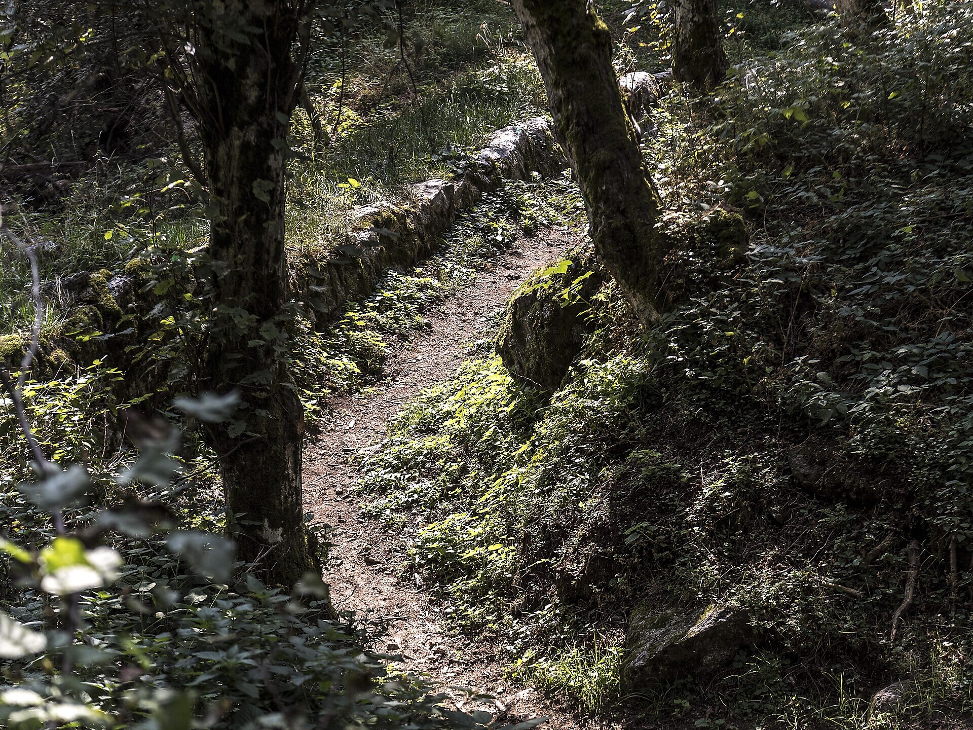 Dove parla l’acqua – lungo antichi sentieri verso la Cascata di Parcines - Merano e dintorni - #18 - suedtirol.info