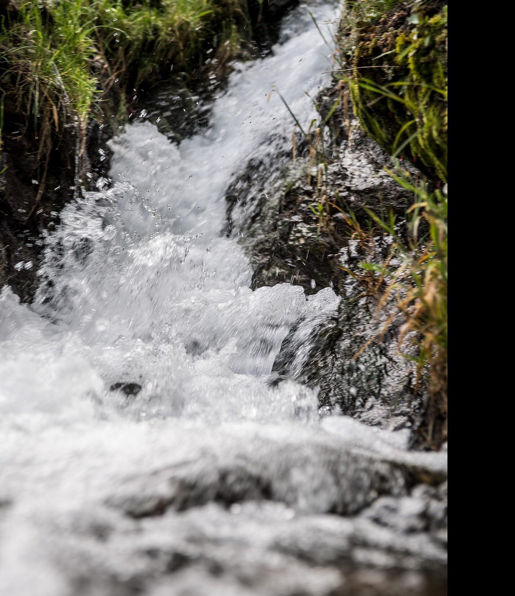 Dove parla l’acqua – lungo antichi sentieri verso la Cascata di Parcines - Merano e dintorni - #22 - suedtirol.info