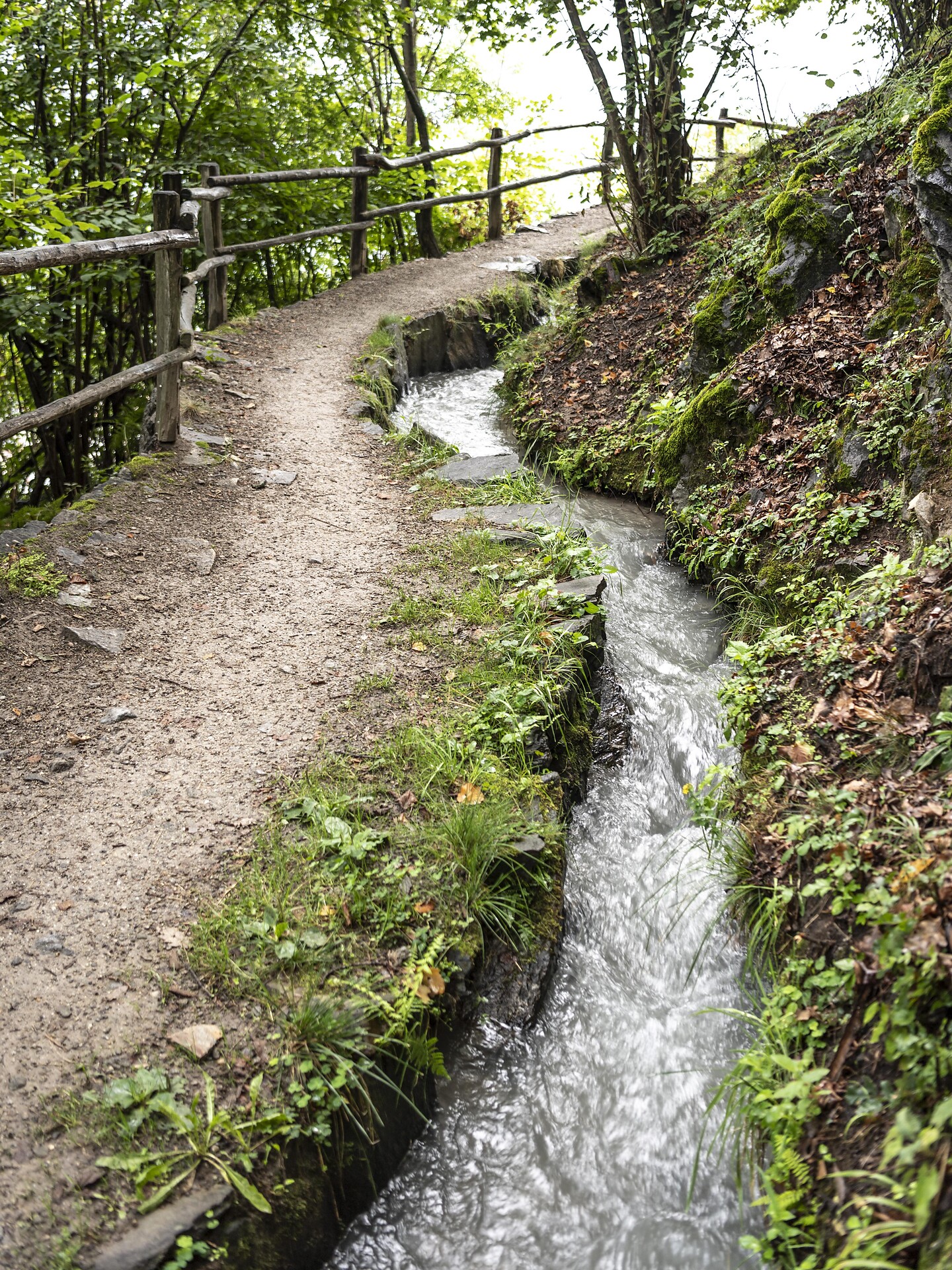 Dove parla l’acqua – lungo antichi sentieri verso la Cascata di Parcines - Merano e dintorni - #24 - suedtirol.info