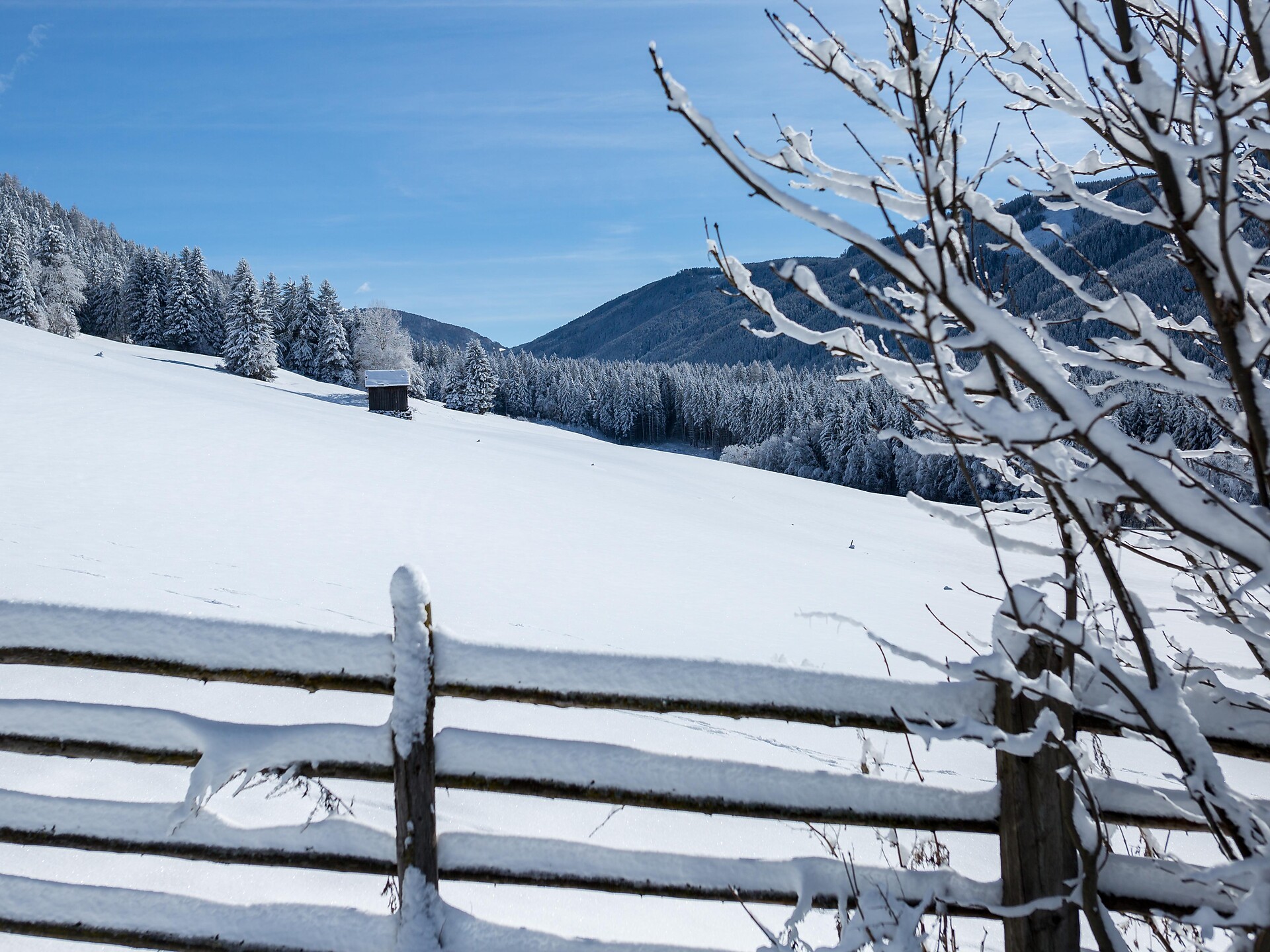Landschaft Winter (Kamilla Photography)