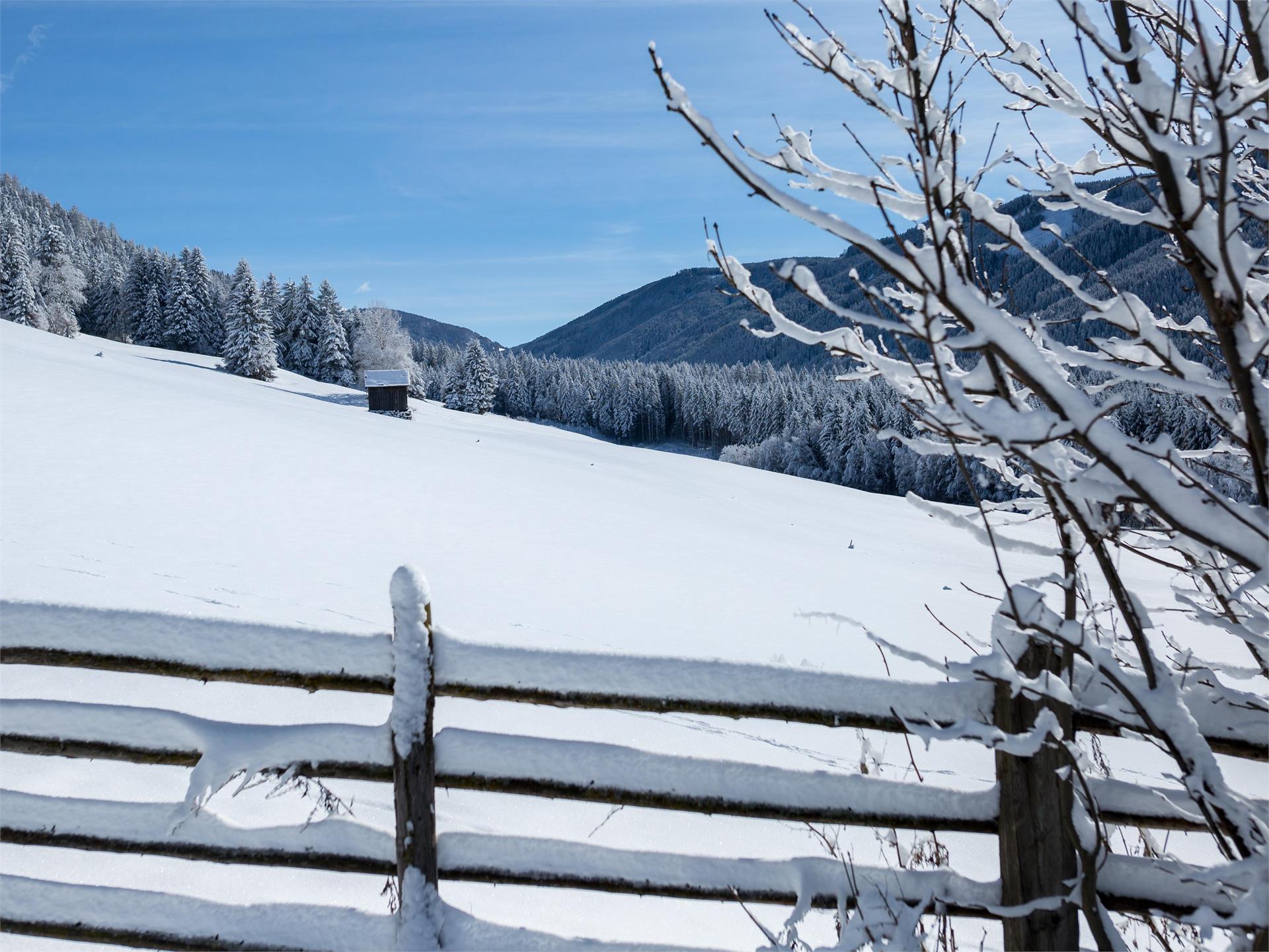 Escursione invernale: Lungo il sentiero „Talblickweg“ nella Val Casies Monguelfo-Tesido 1 suedtirol.info